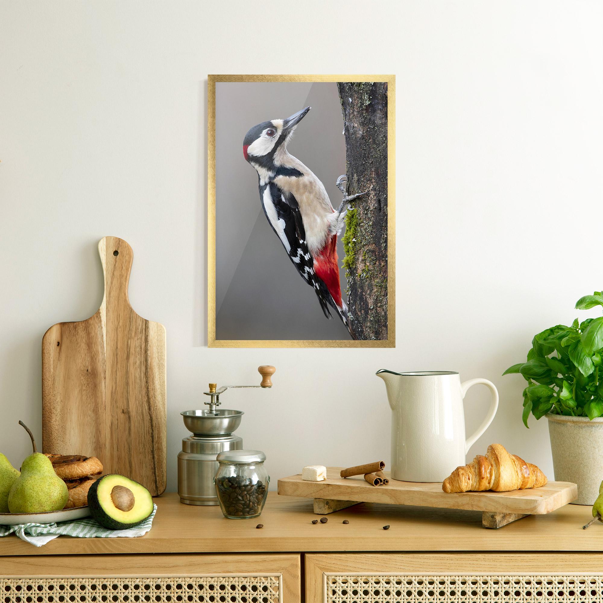 Plakat w Ramie Woodpecker mockup 8
