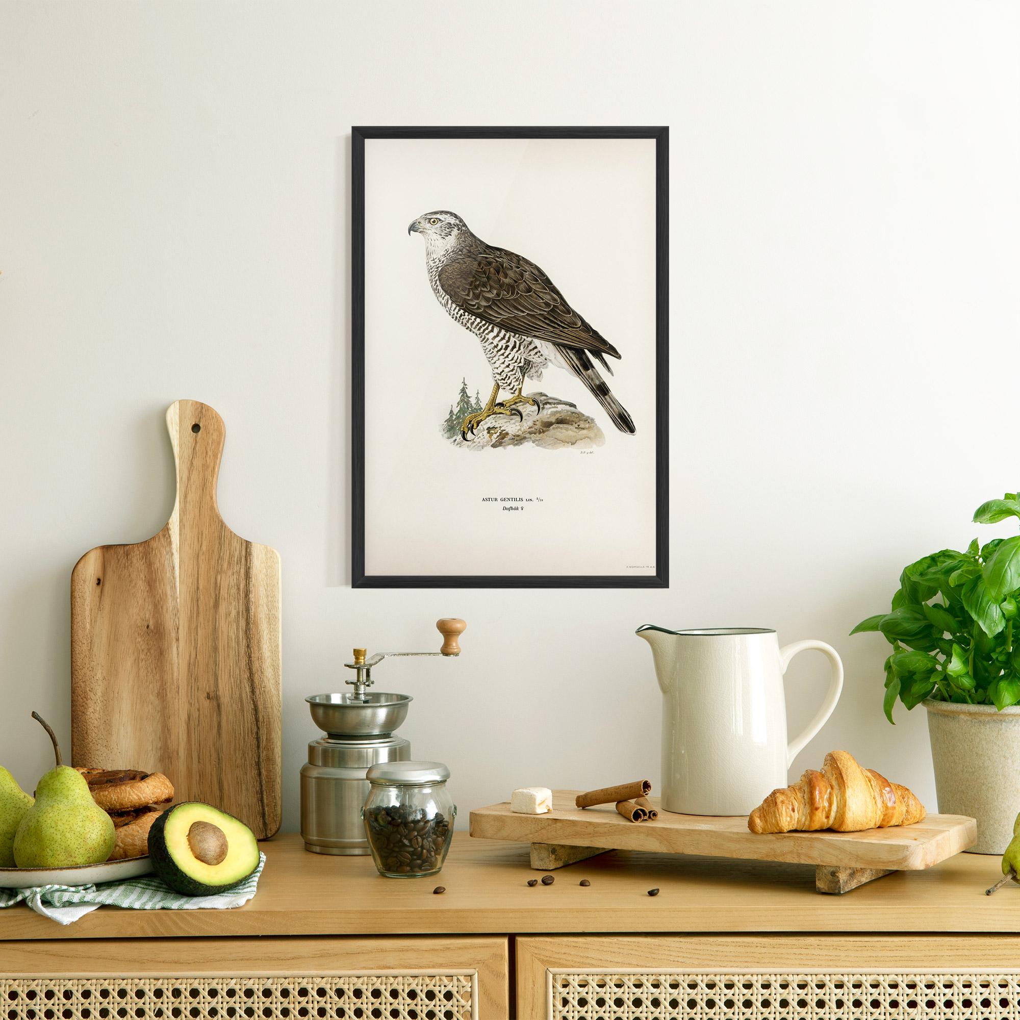 Plakat w Ramie Astur Gentilis mockup 8