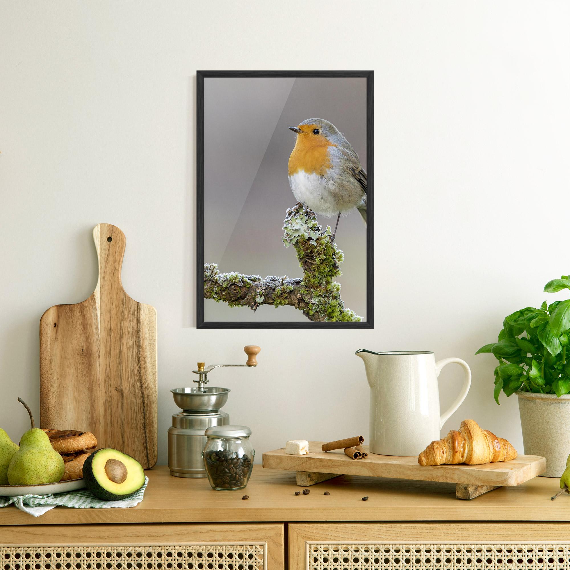 Plakat w Ramie Erithacus Bird mockup 8