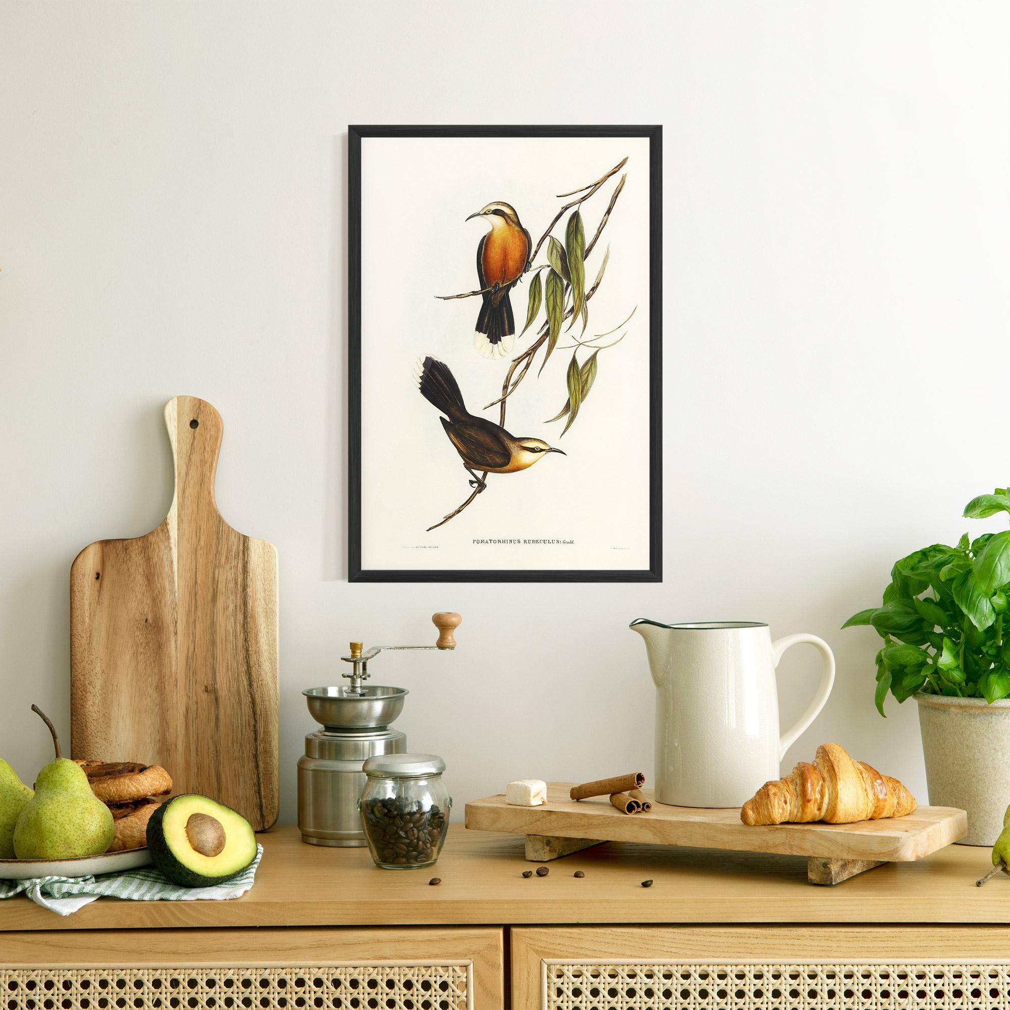 Plakat w Ramie Red Pomatorhinus mockup 8