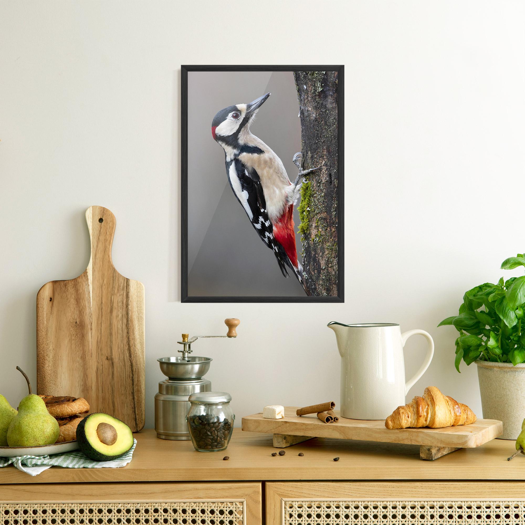 Plakat w Ramie Woodpecker mockup 8