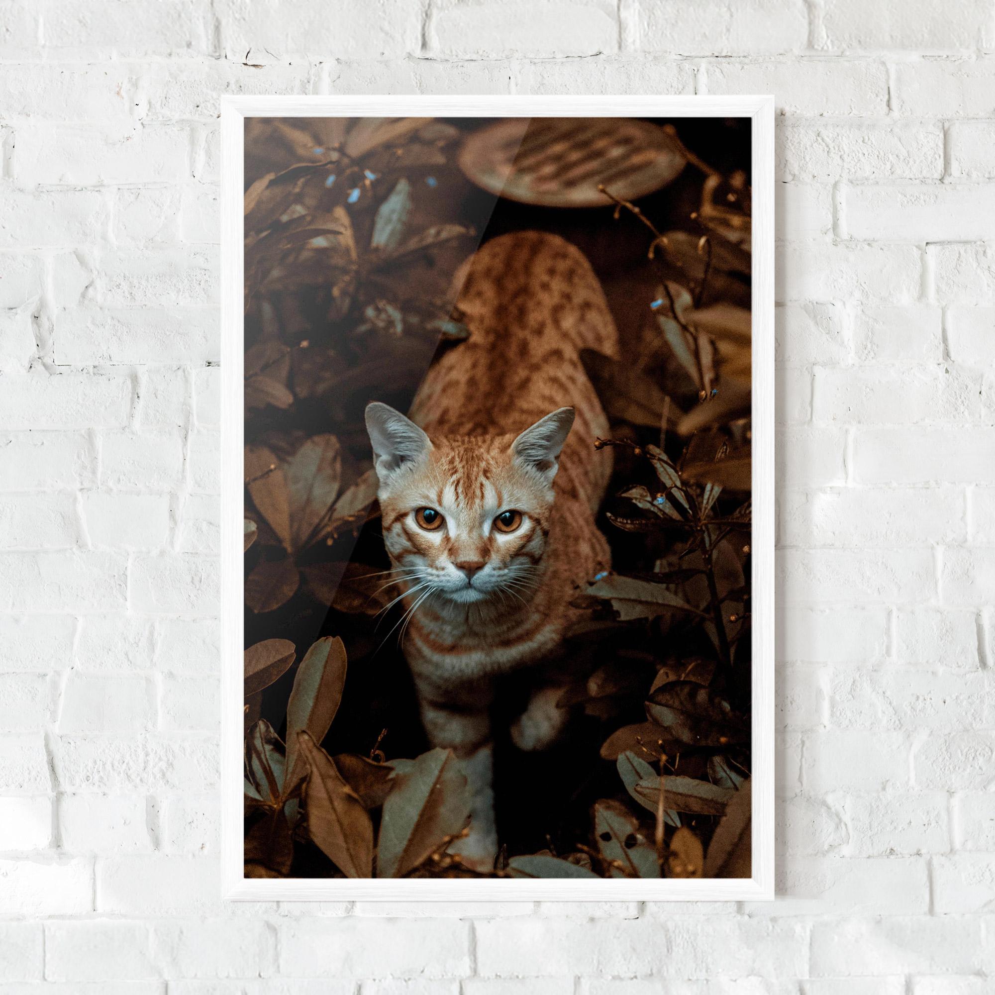 Plakat w Ramie Autumn Orange Cat mockup 0