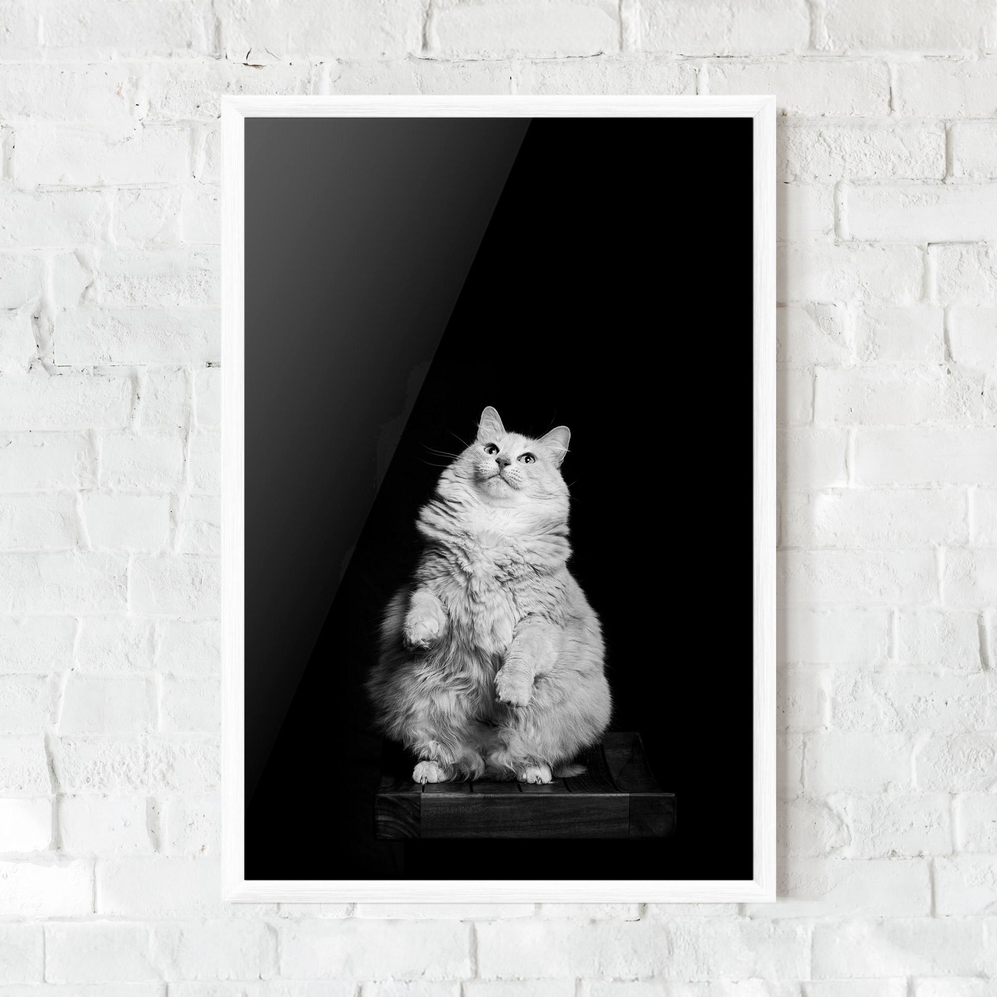 Plakat w Ramie Big Fluffy Cat mockup 0