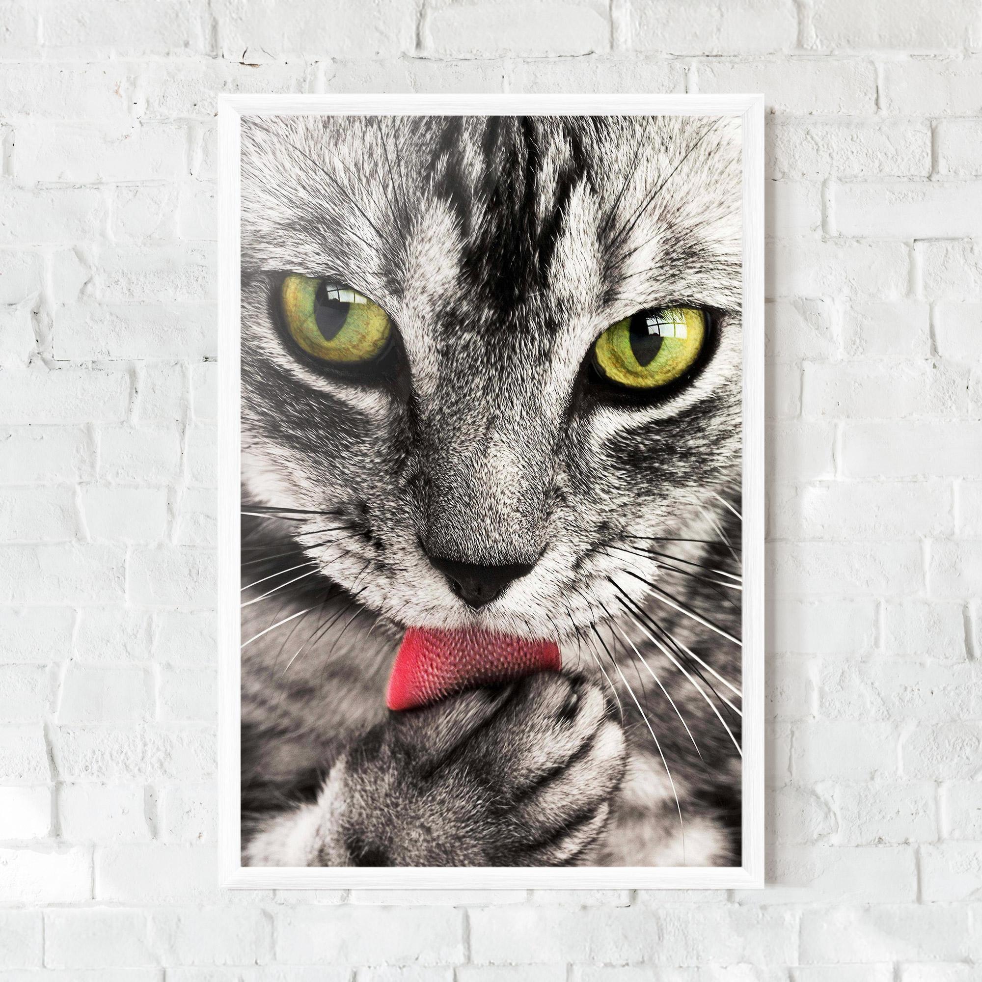 Plakat w Ramie Green Eyes Close Up Cat mockup 0