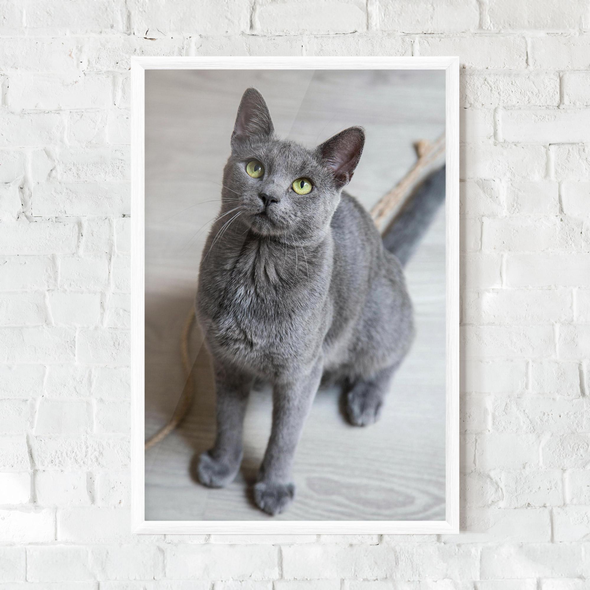 Plakat w Ramie Grey Green Cat Eyes mockup 0