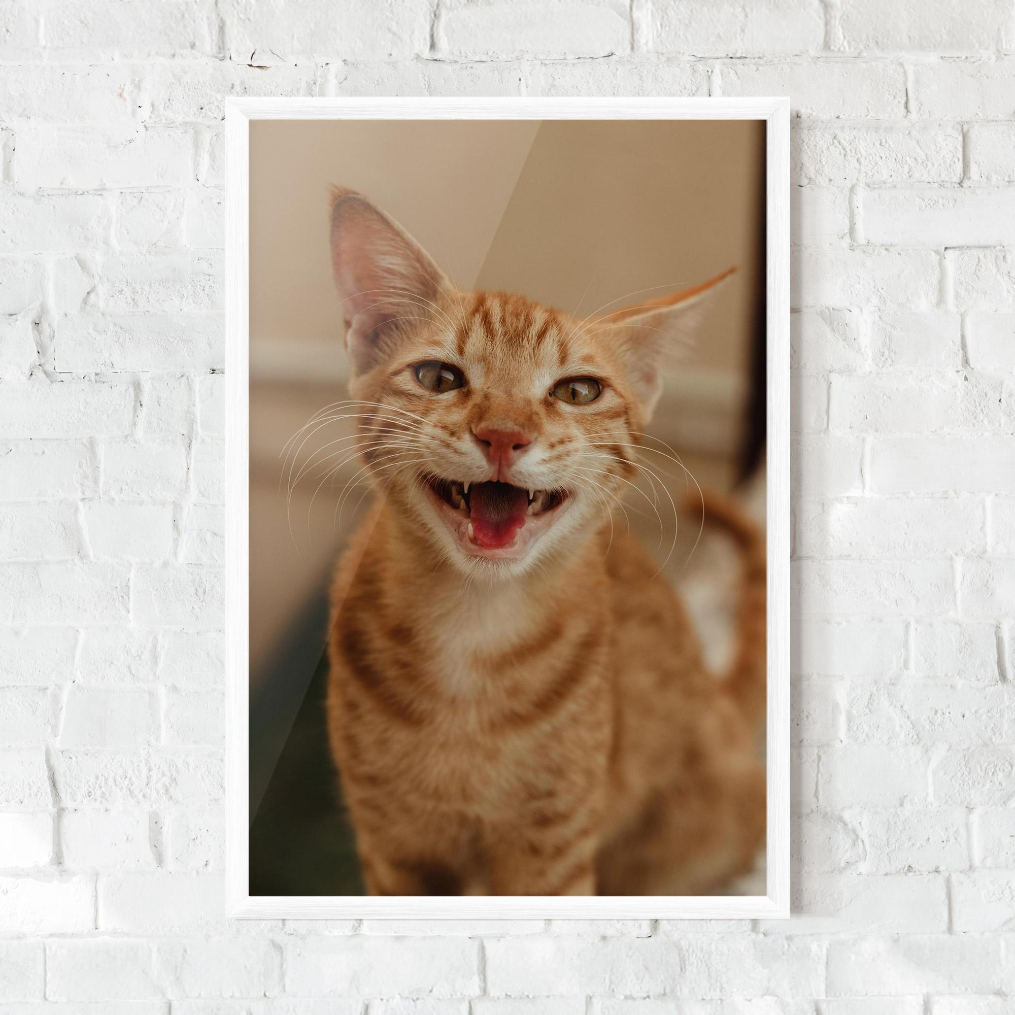 Plakat w Ramie Orange Cat Smiling mockup 0