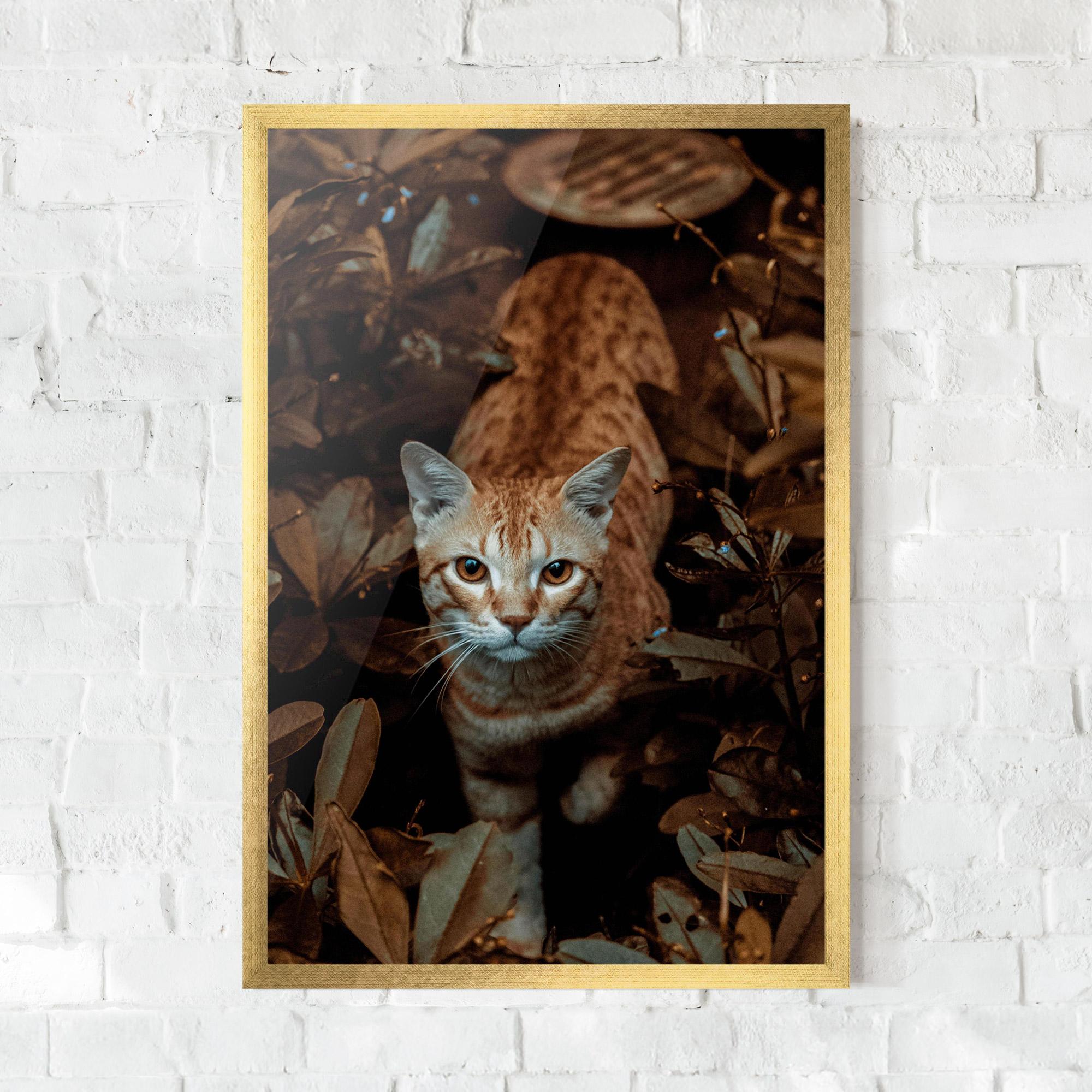 Plakat w Ramie Autumn Orange Cat mockup 0