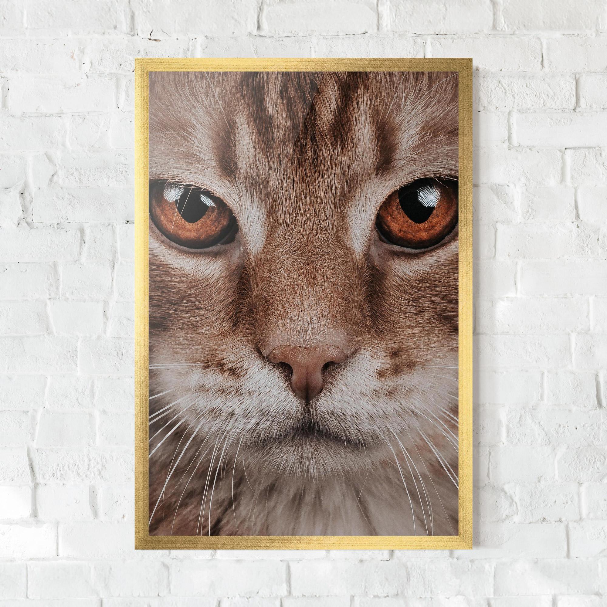 Plakat w Ramie Fire Eyes Cat mockup 0