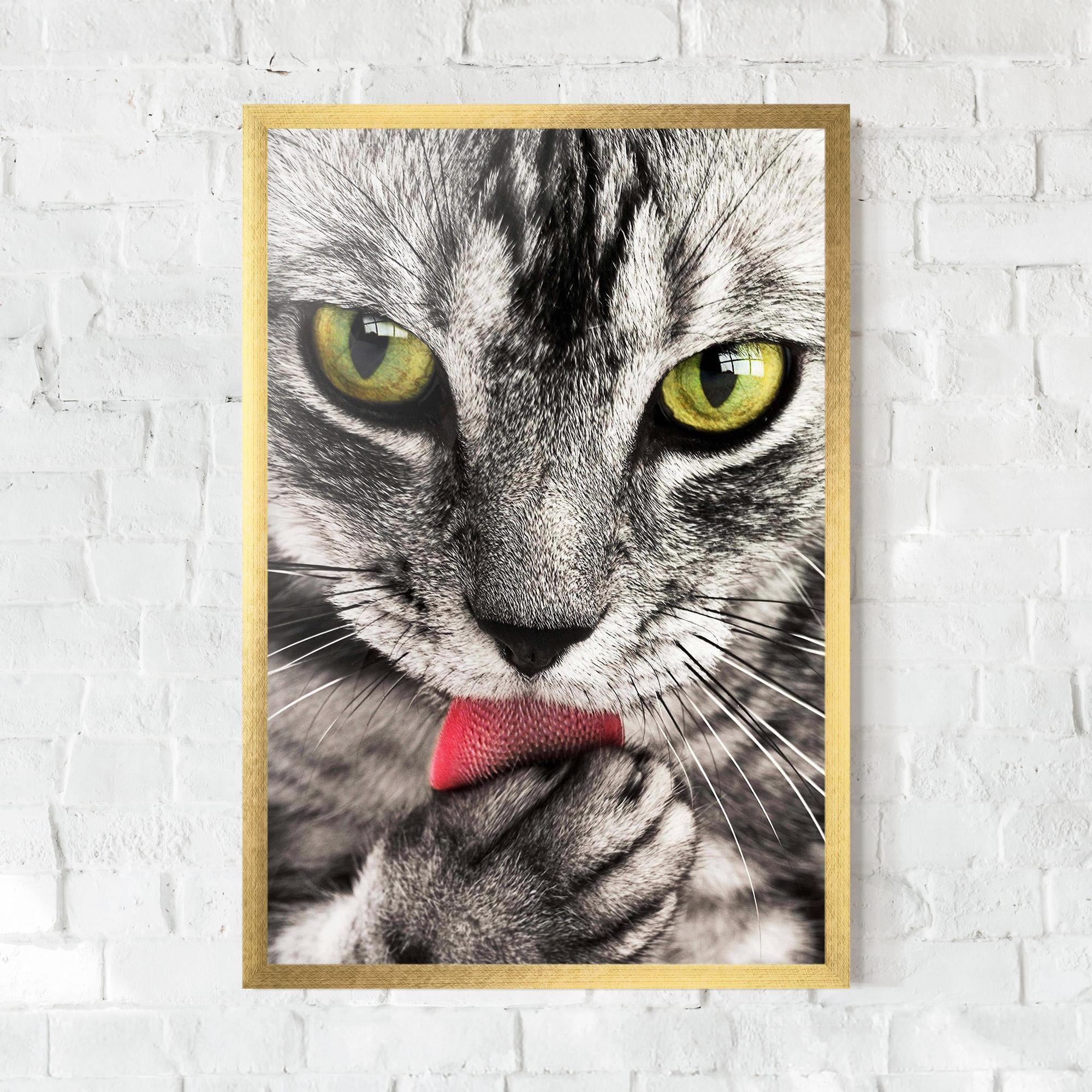 Plakat w Ramie Green Eyes Close Up Cat mockup 0