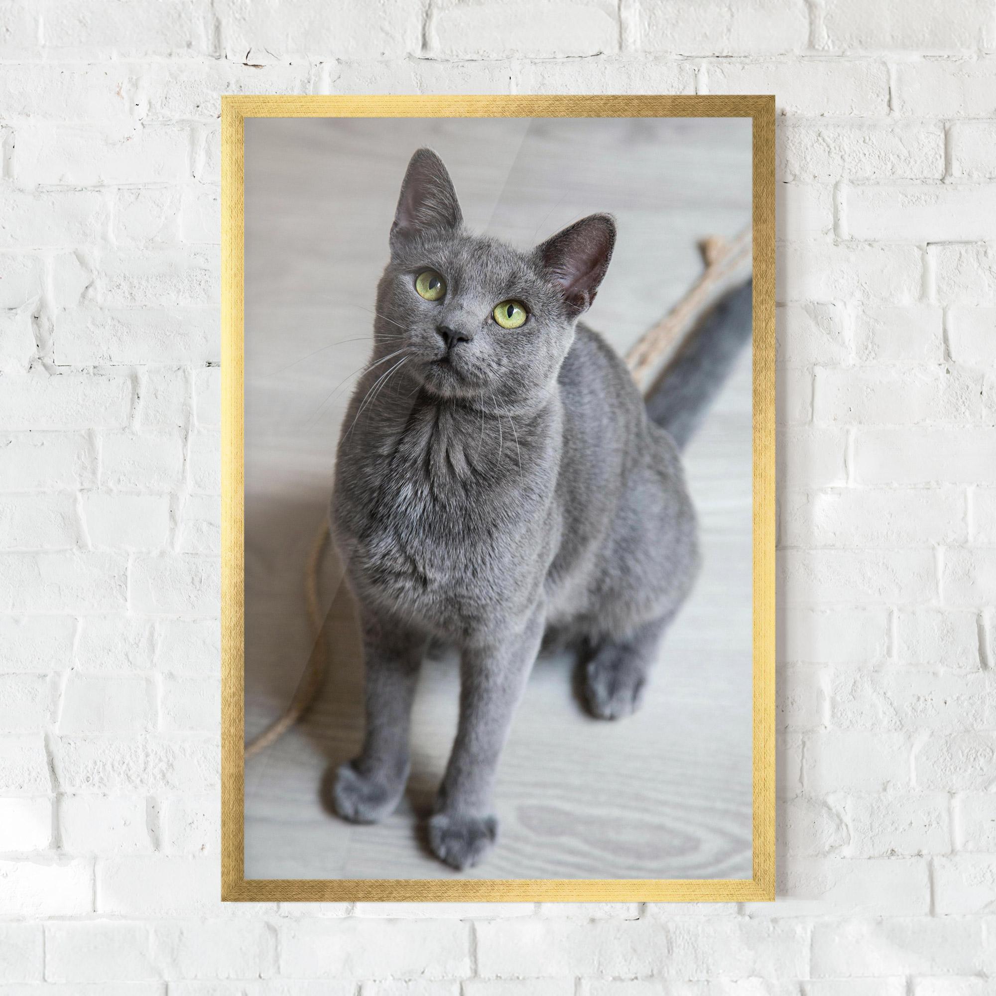 Plakat w Ramie Grey Green Cat Eyes mockup 0