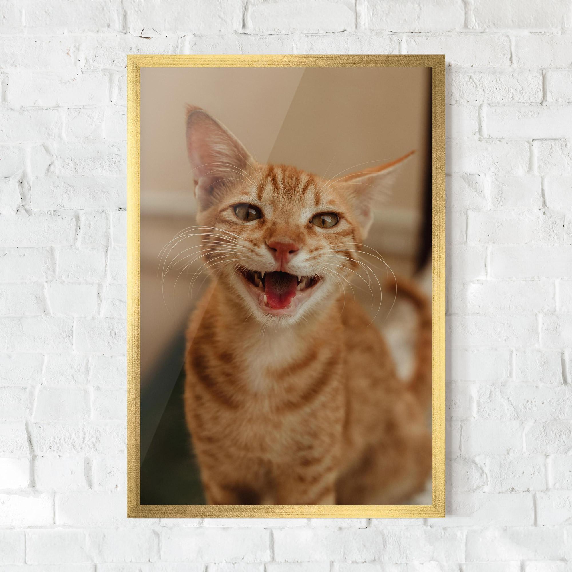 Plakat w Ramie Orange Cat Smiling mockup 0
