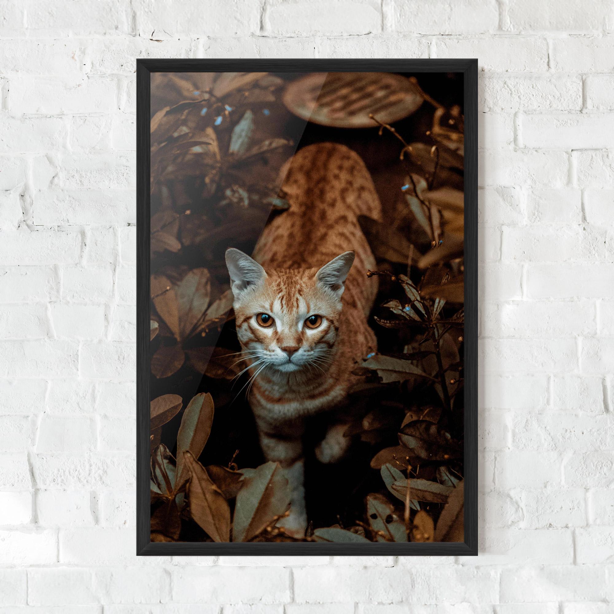 Plakat w Ramie Autumn Orange Cat mockup 0
