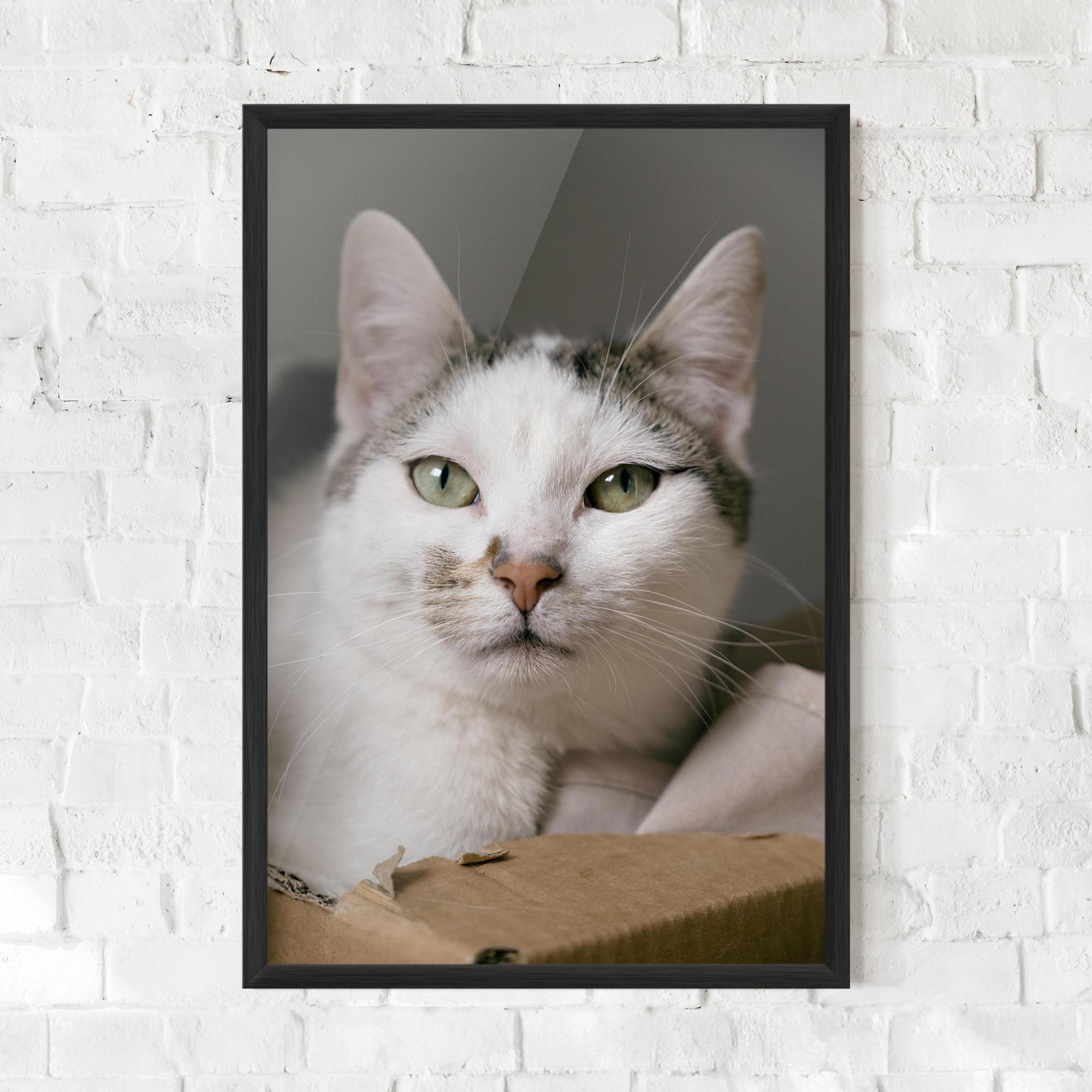 Plakat w Ramie Big Sleepy Cat mockup 0