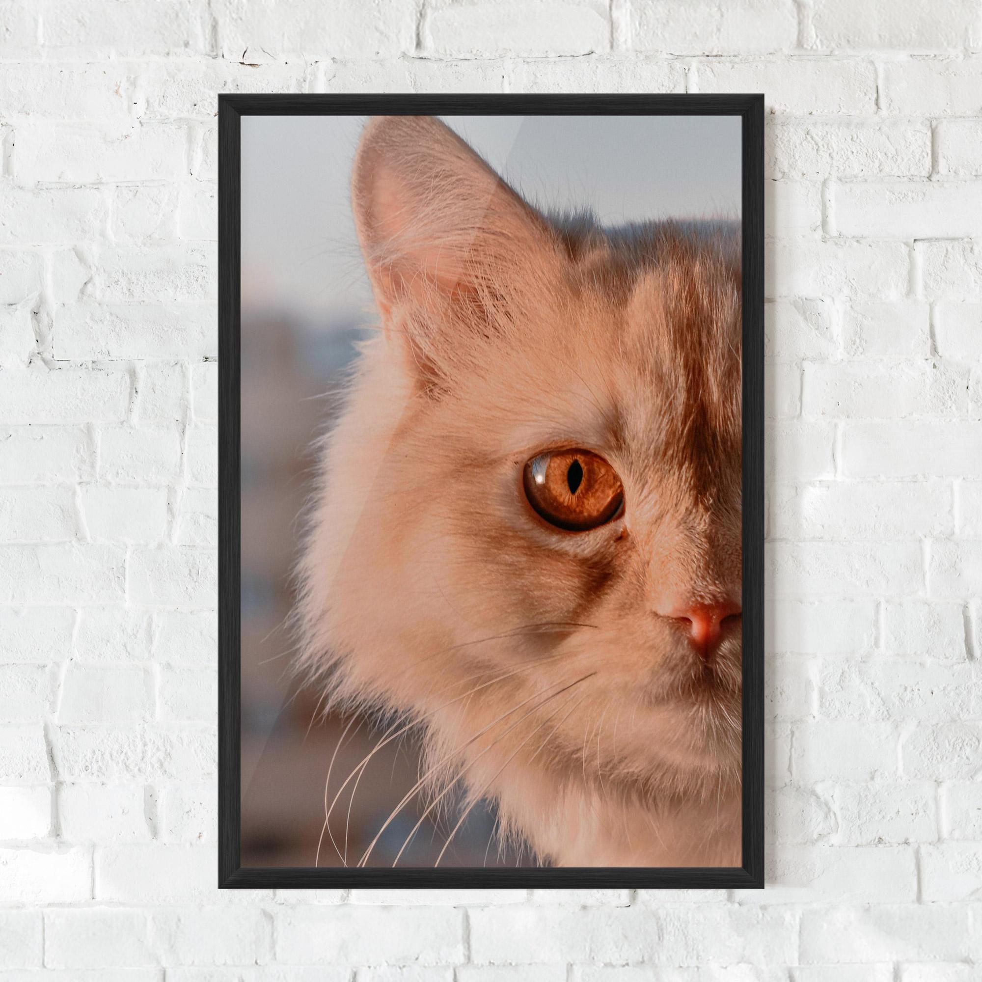 Plakat w Ramie Cat Eye In Sun mockup 0