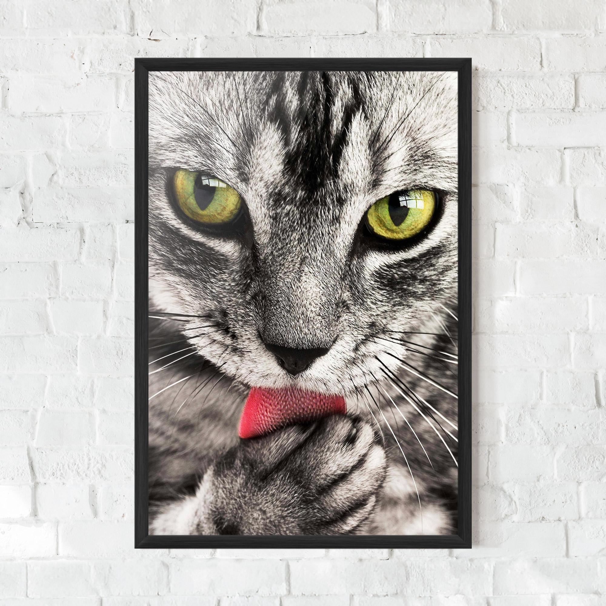 Plakat w Ramie Green Eyes Close Up Cat mockup 0