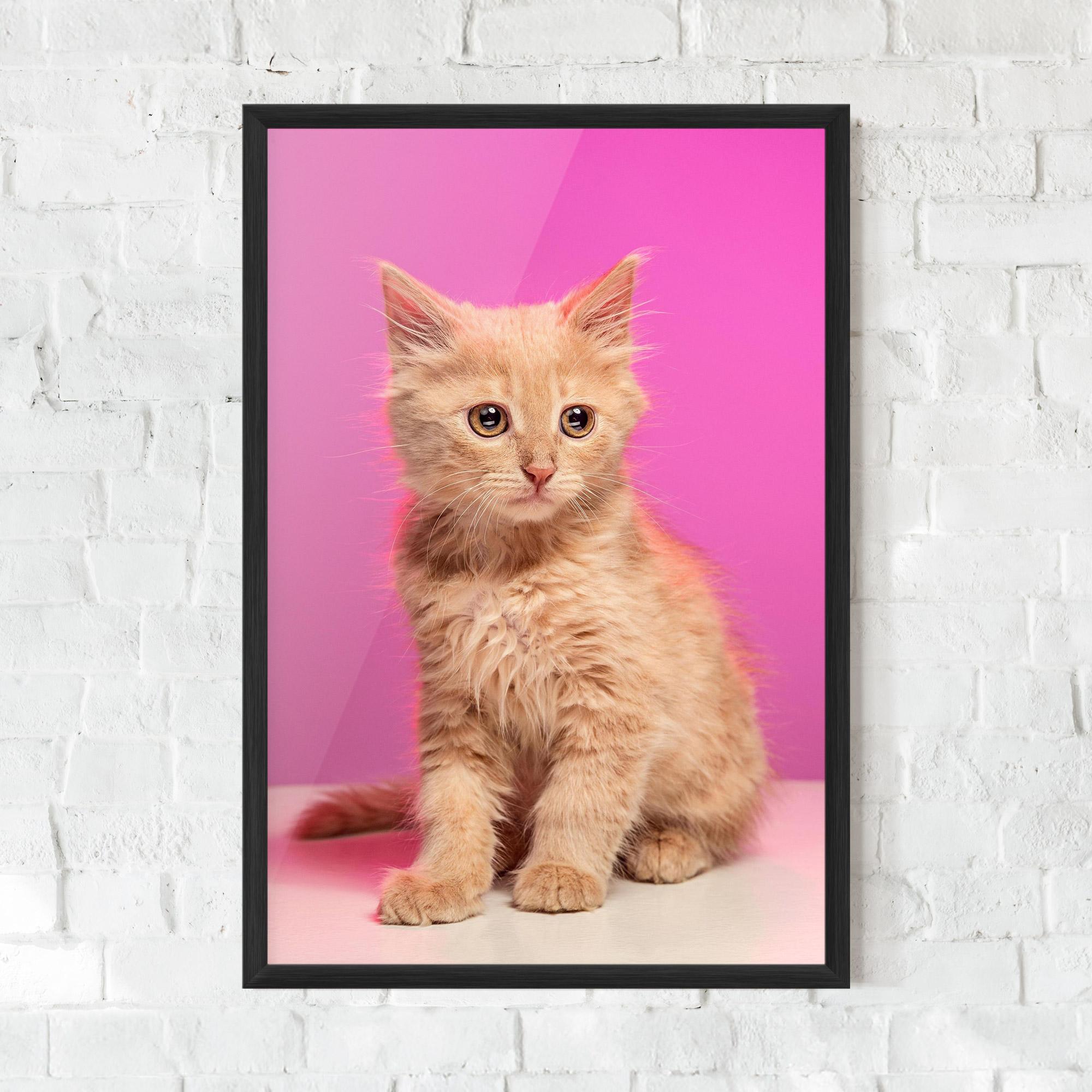 Plakat w Ramie Orange Cat On Pink mockup 0