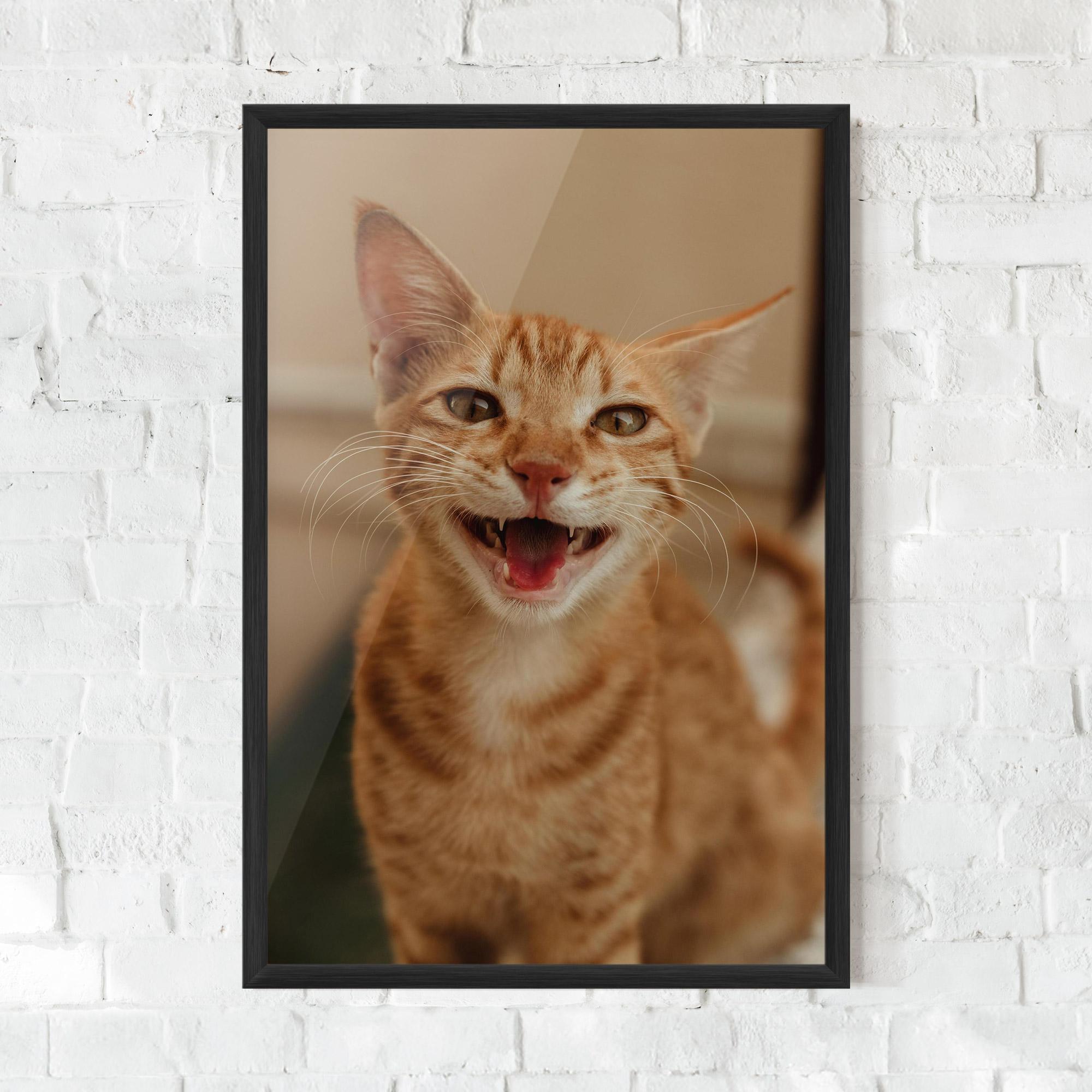 Plakat w Ramie Orange Cat Smiling mockup 0