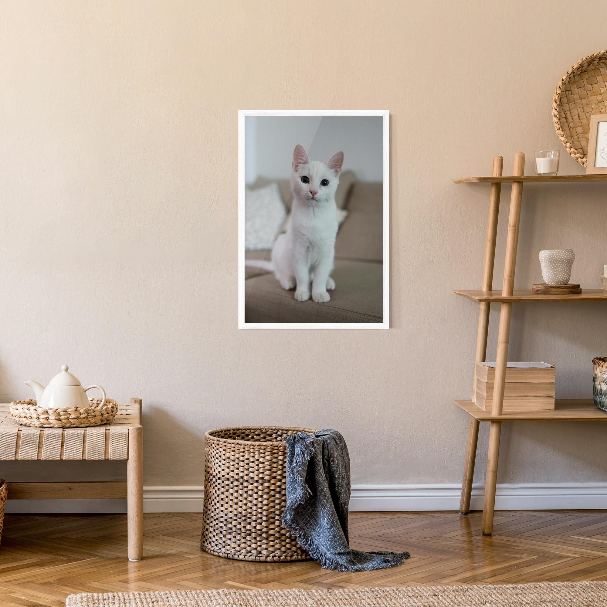Plakat w Ramie Beautiful White Cat mockup 9