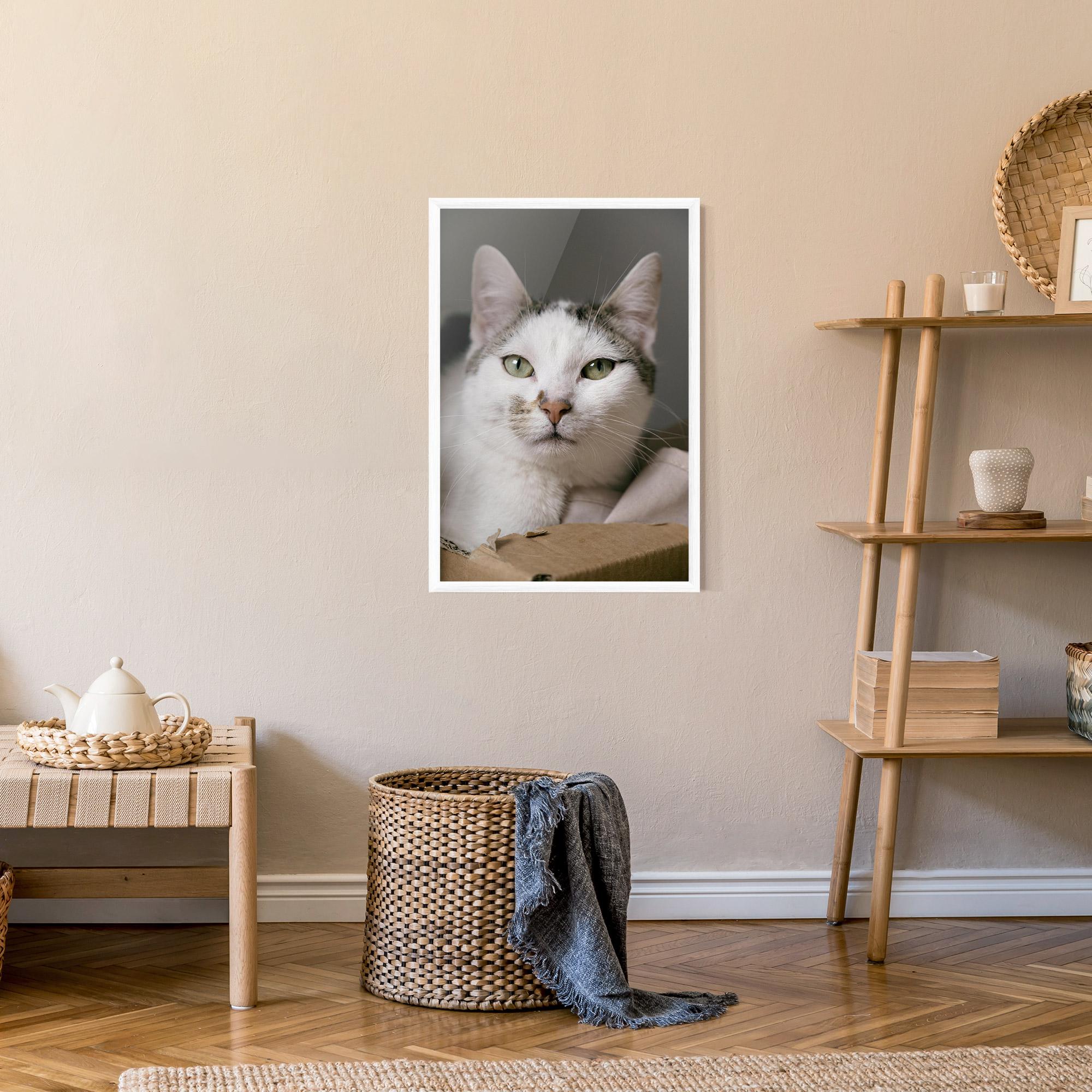 Plakat w Ramie Big Sleepy Cat mockup 9