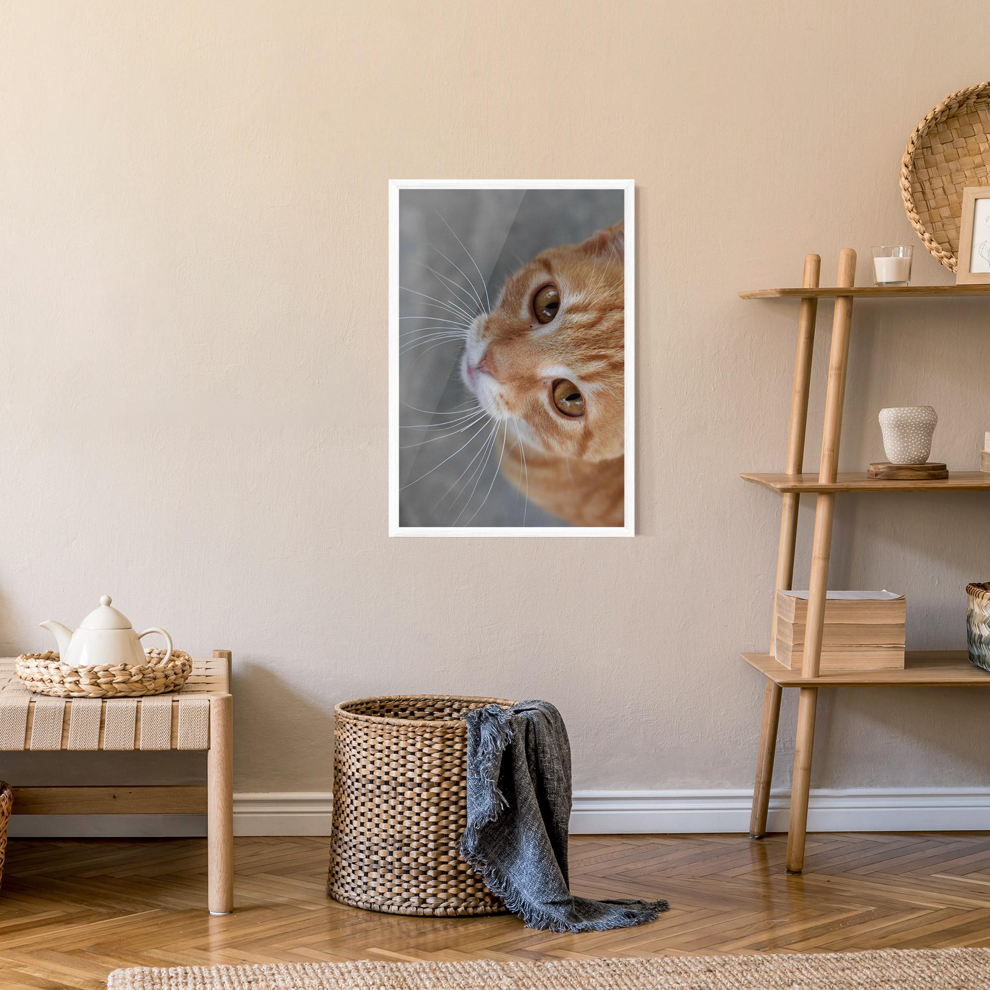 Plakat w Ramie Pretty Orange Eyes Cat mockup 9