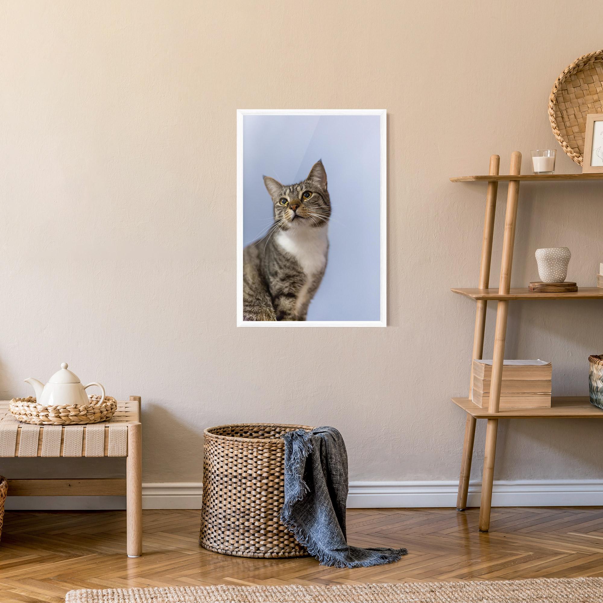 Plakat w Ramie Yellow Eyes Cat mockup 9