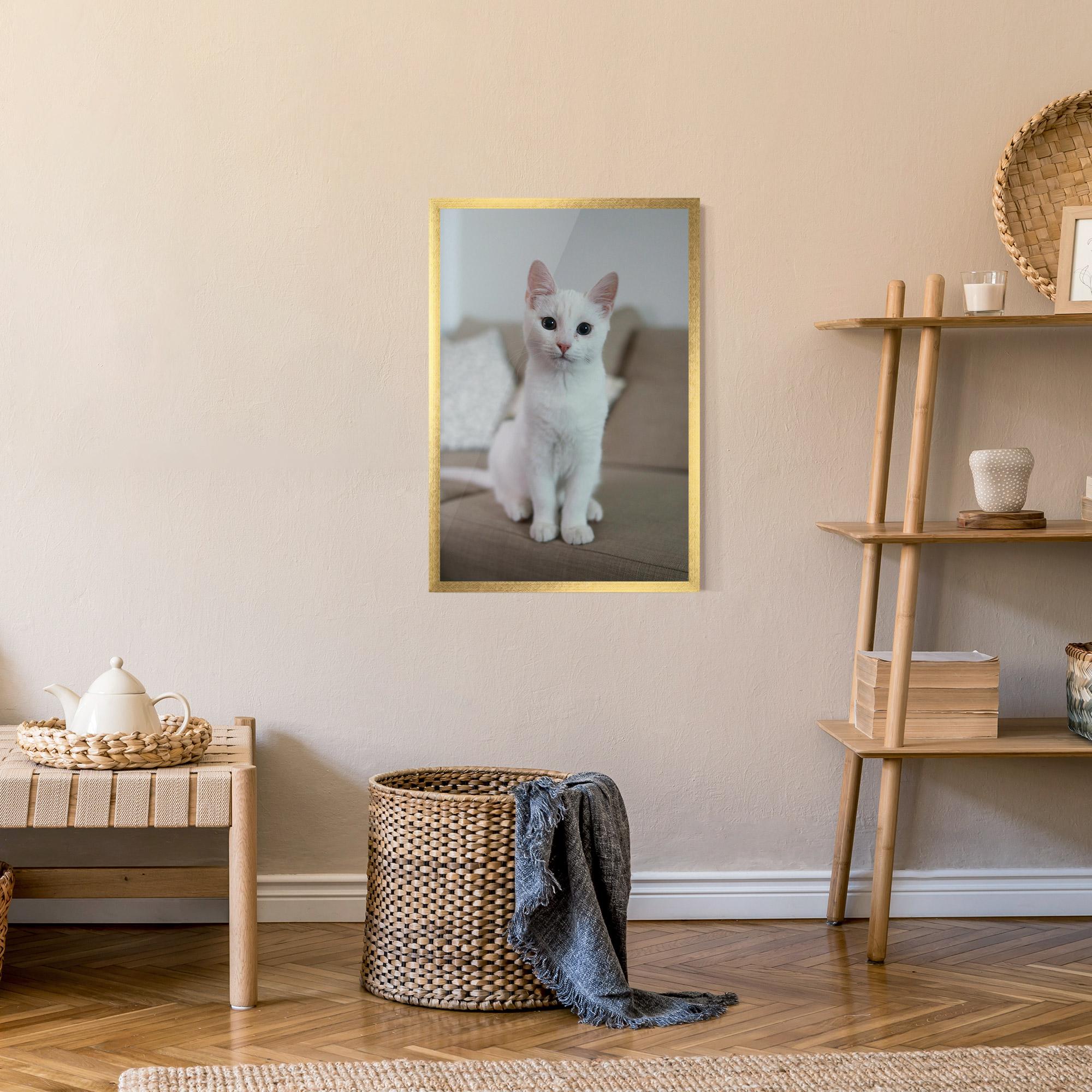 Plakat w Ramie Beautiful White Cat mockup 9
