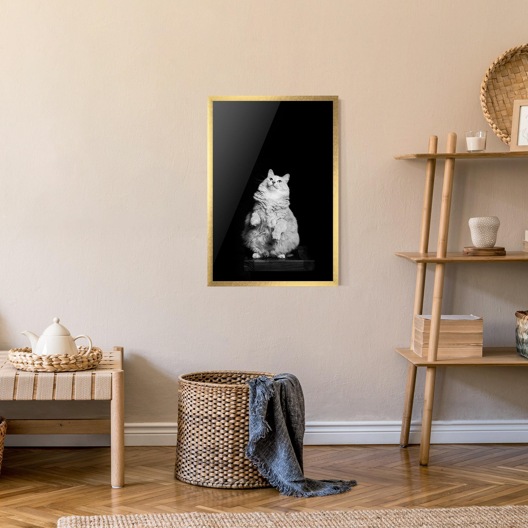 Plakat w Ramie Big Fluffy Cat mockup 9