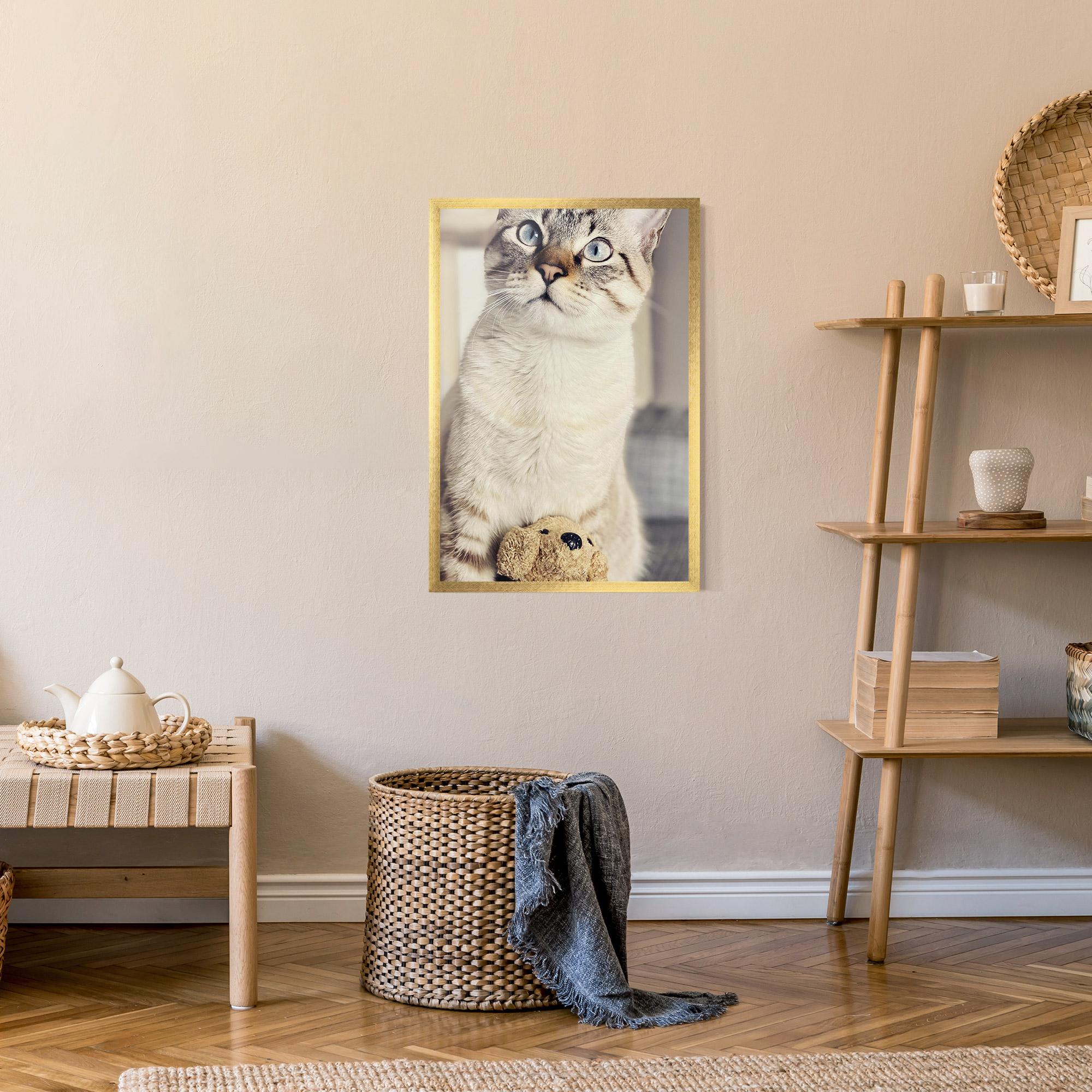 Plakat w Ramie Pretty Blue Eyes Cat mockup 9