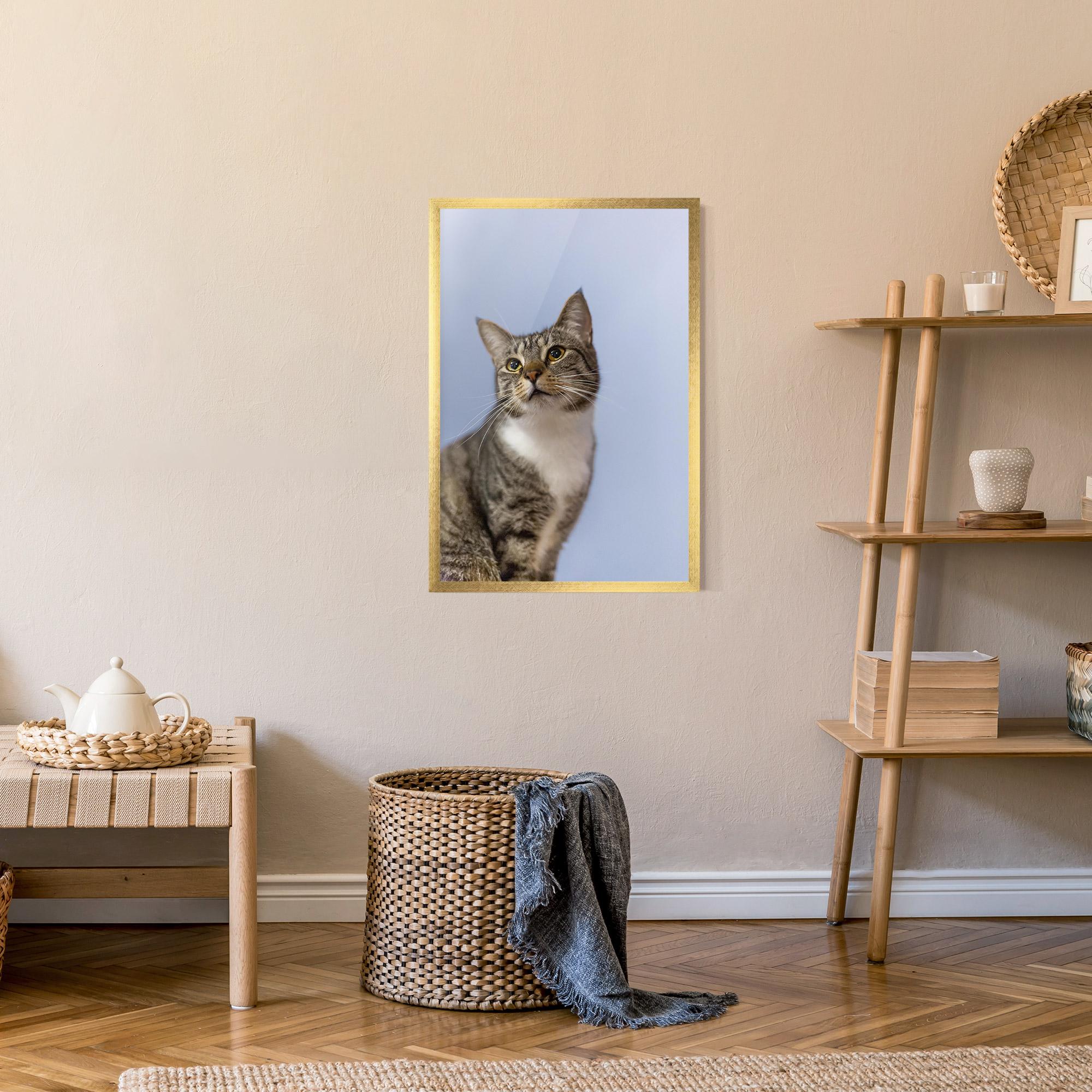 Plakat w Ramie Yellow Eyes Cat mockup 9