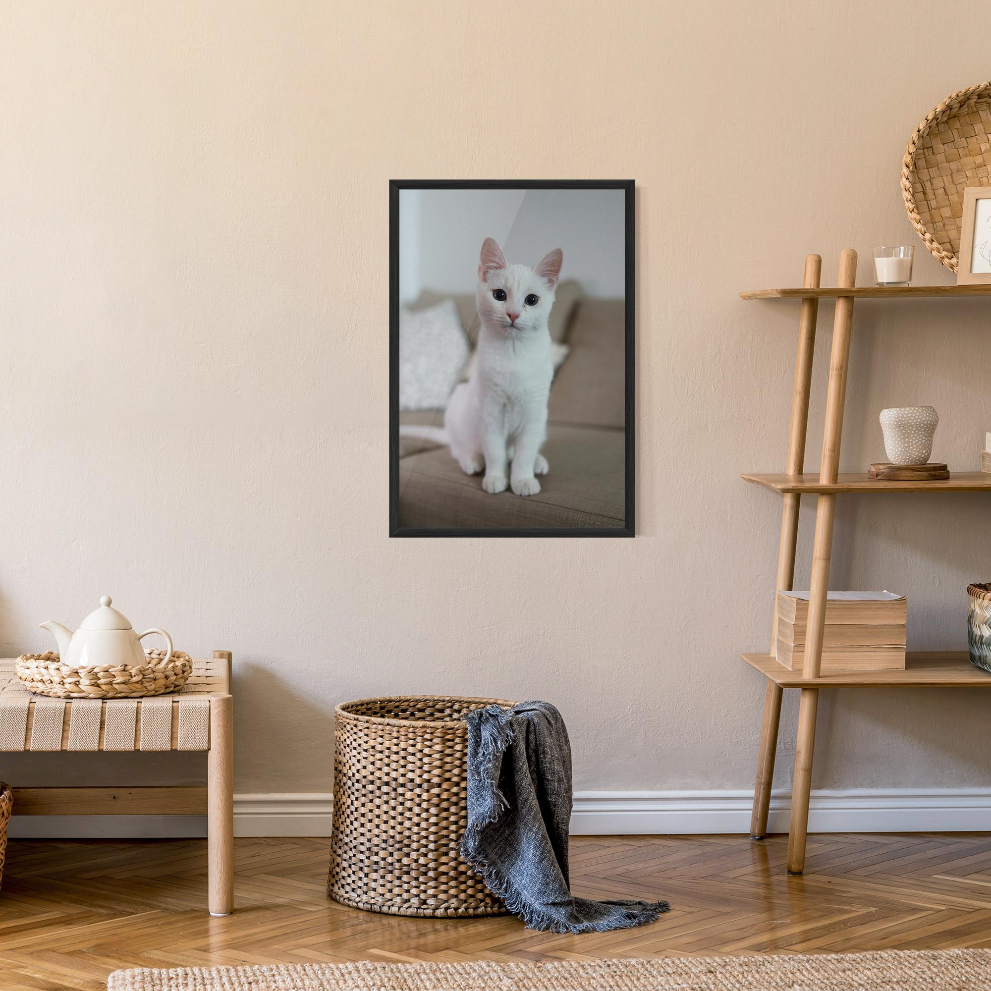 Plakat w Ramie Beautiful White Cat mockup 9