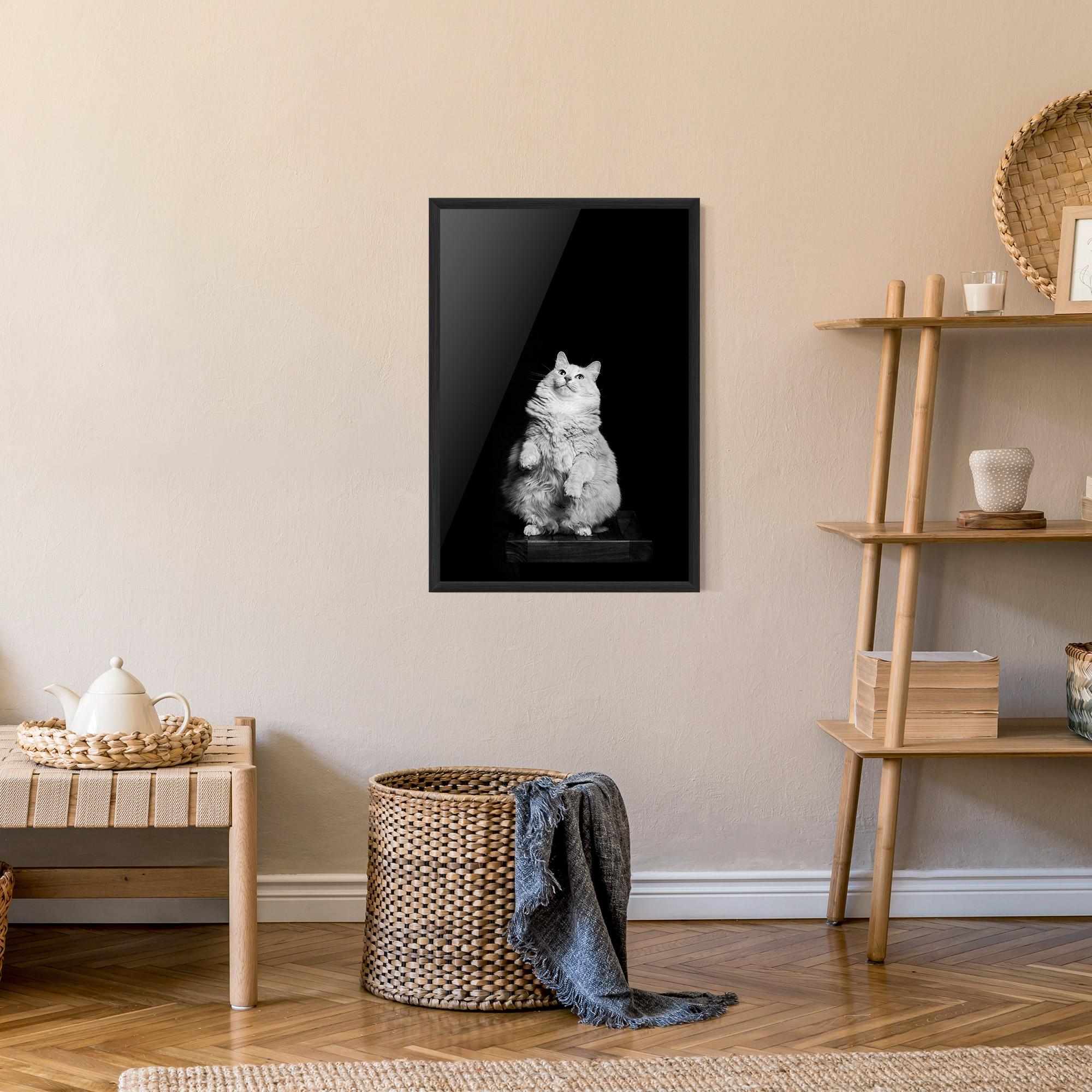 Plakat w Ramie Big Fluffy Cat mockup 9