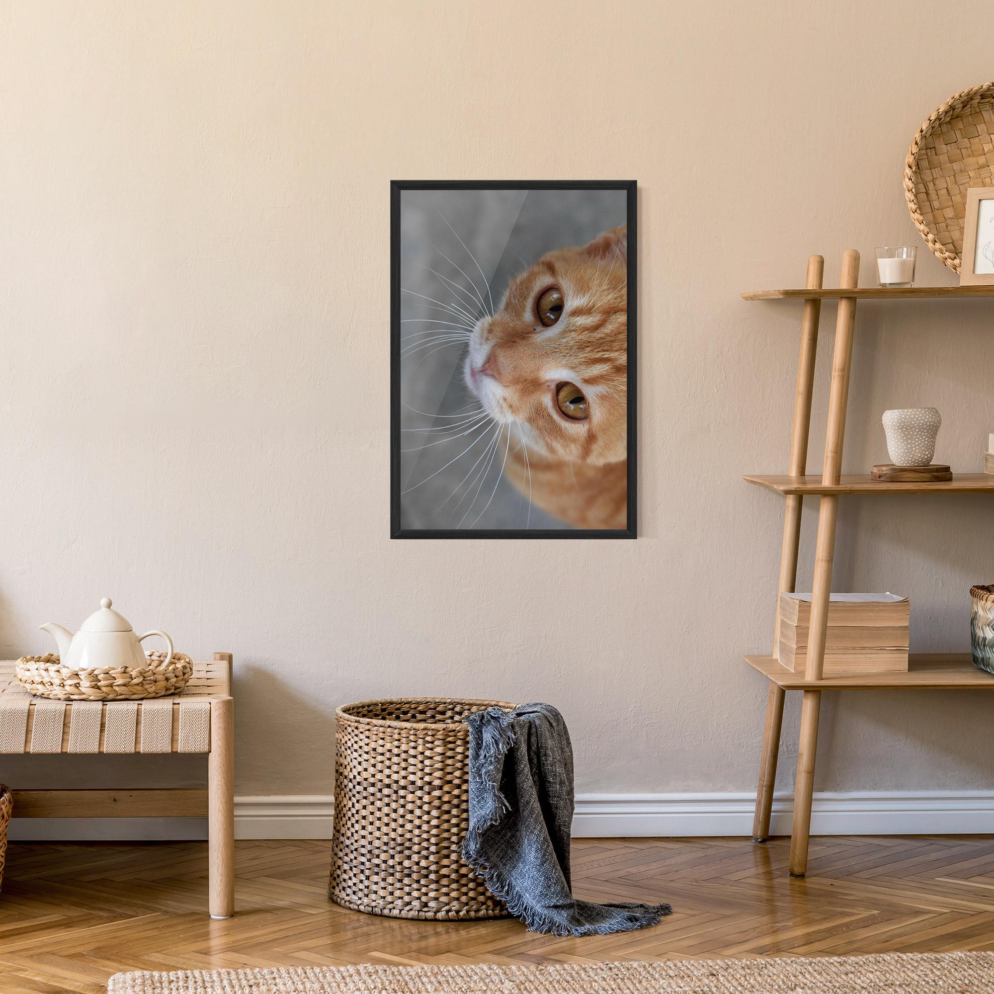 Plakat w Ramie Pretty Orange Eyes Cat mockup 9