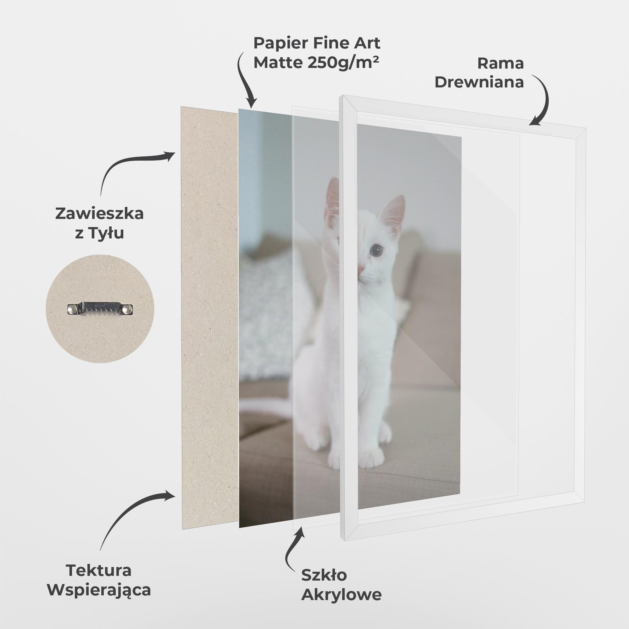 Plakat w Ramie Beautiful White Cat mockup 1