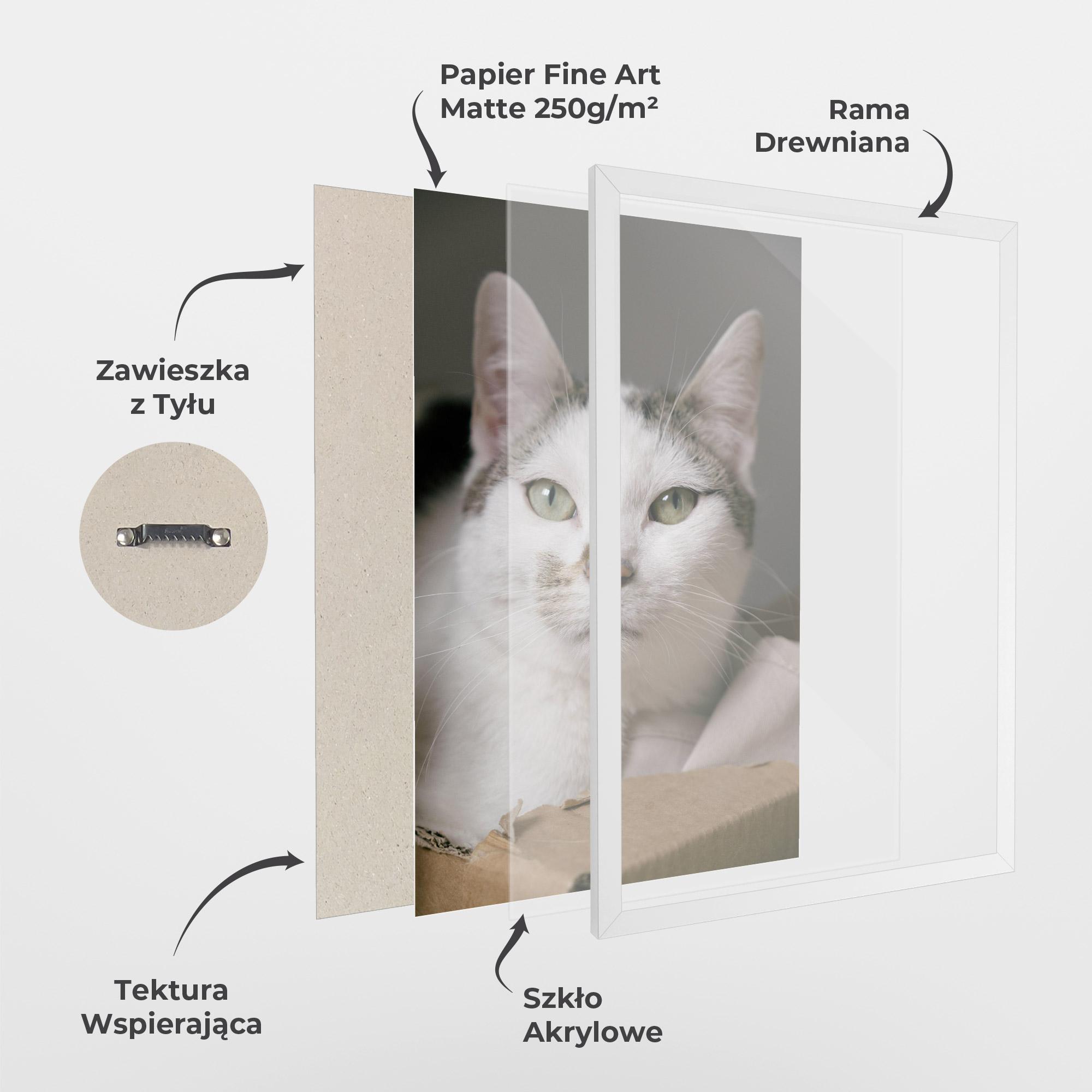 Plakat w Ramie Big Sleepy Cat mockup 1