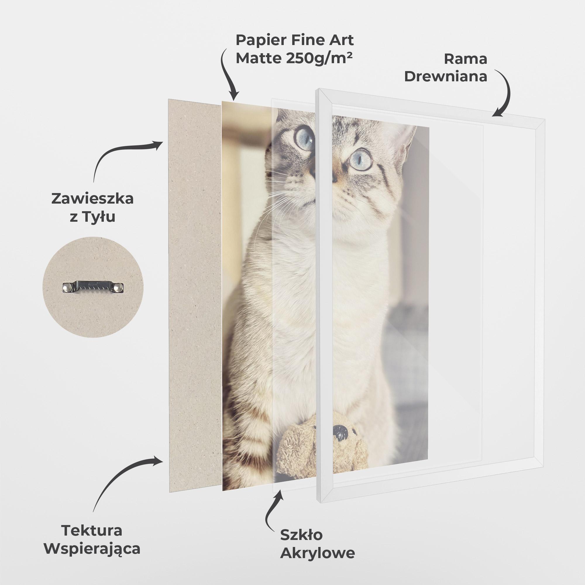 Plakat w Ramie Pretty Blue Eyes Cat mockup 1