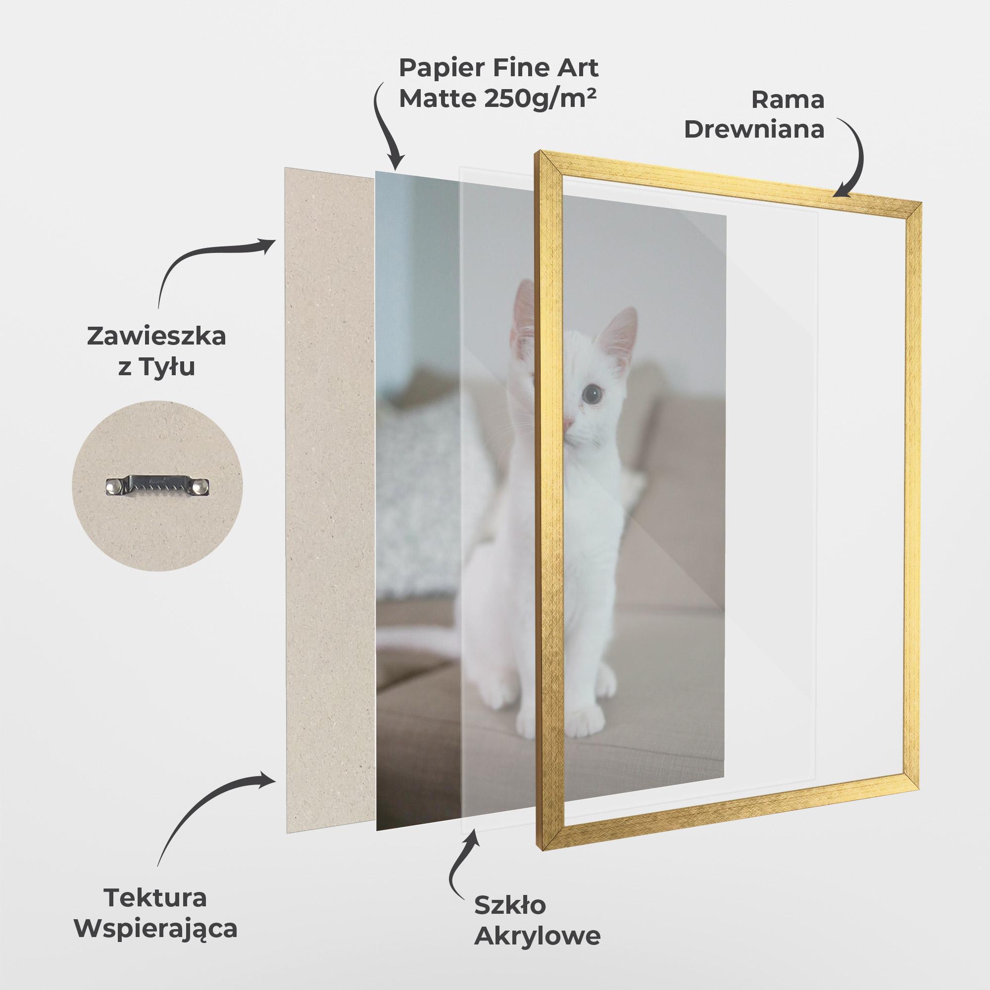 Plakat w Ramie Beautiful White Cat mockup 1