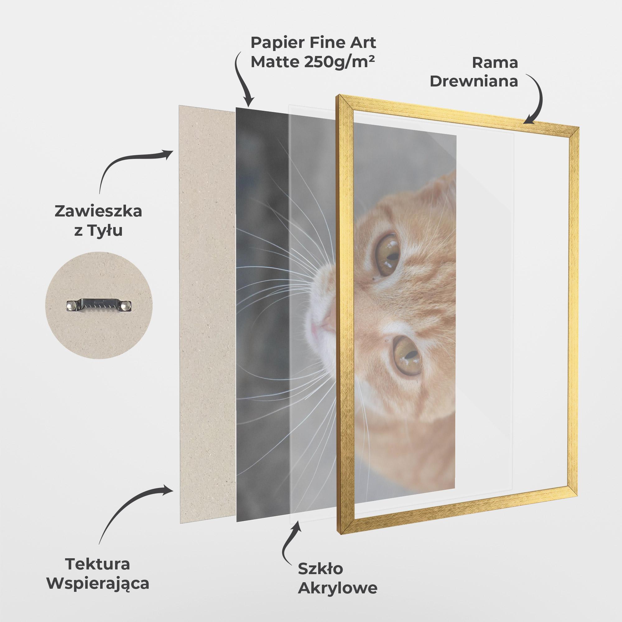Plakat w Ramie Pretty Orange Eyes Cat mockup 1