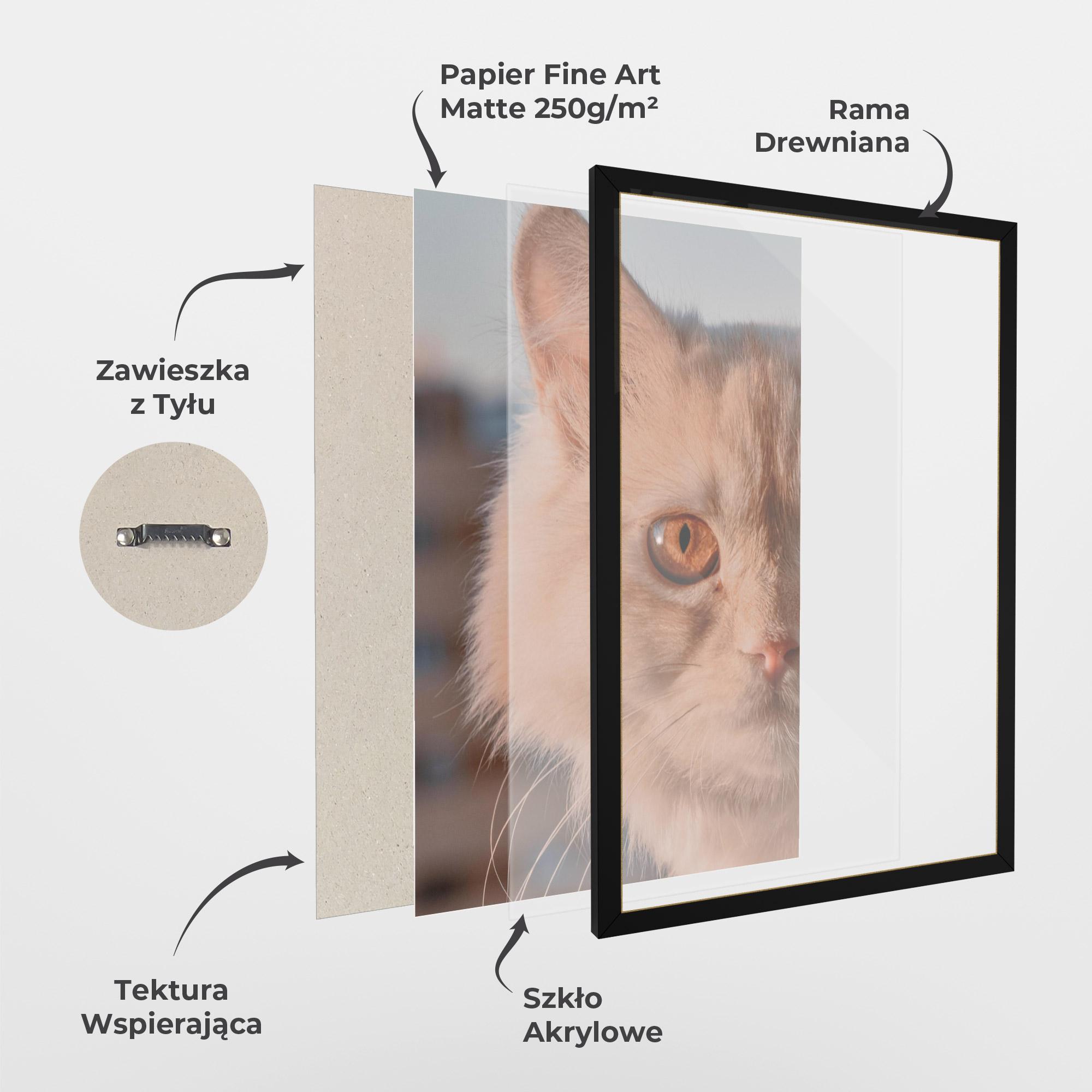 Plakat w Ramie Cat Eye In Sun mockup 1