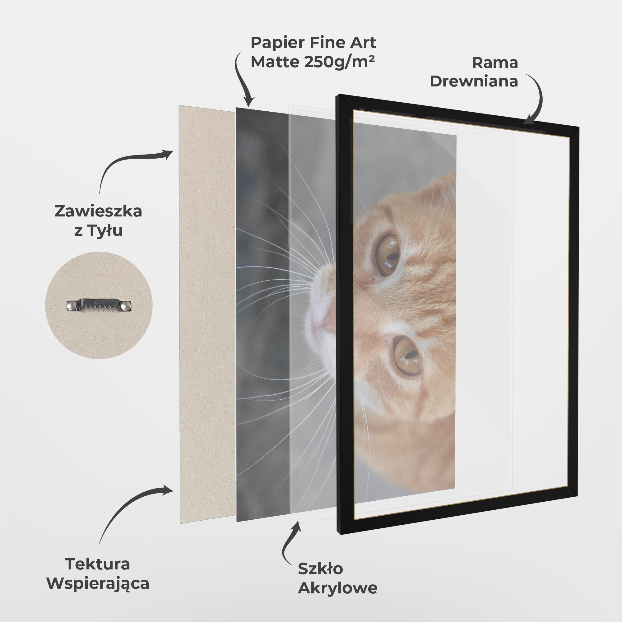 Plakat w Ramie Pretty Orange Eyes Cat mockup 1