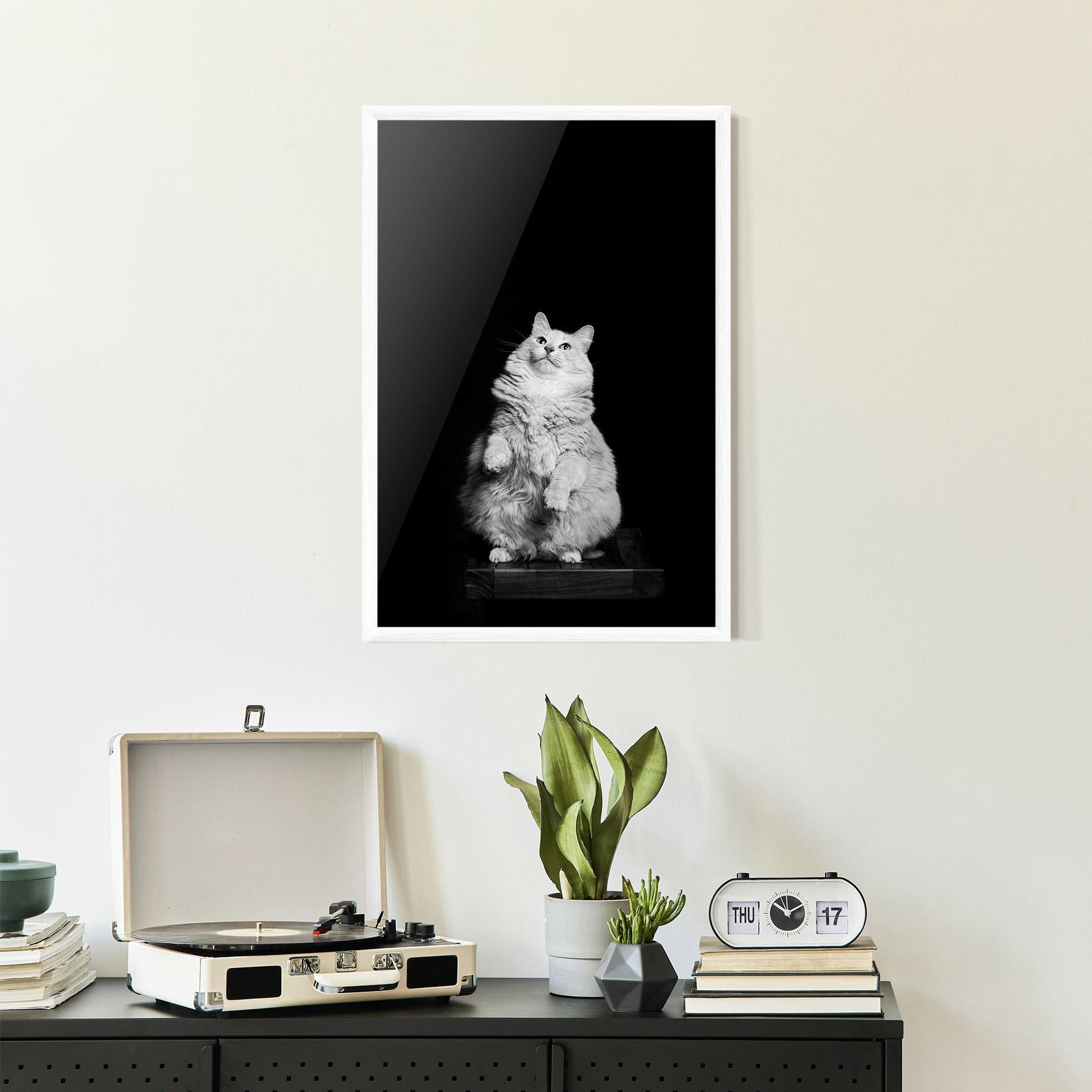 Plakat w Ramie Big Fluffy Cat mockup 2