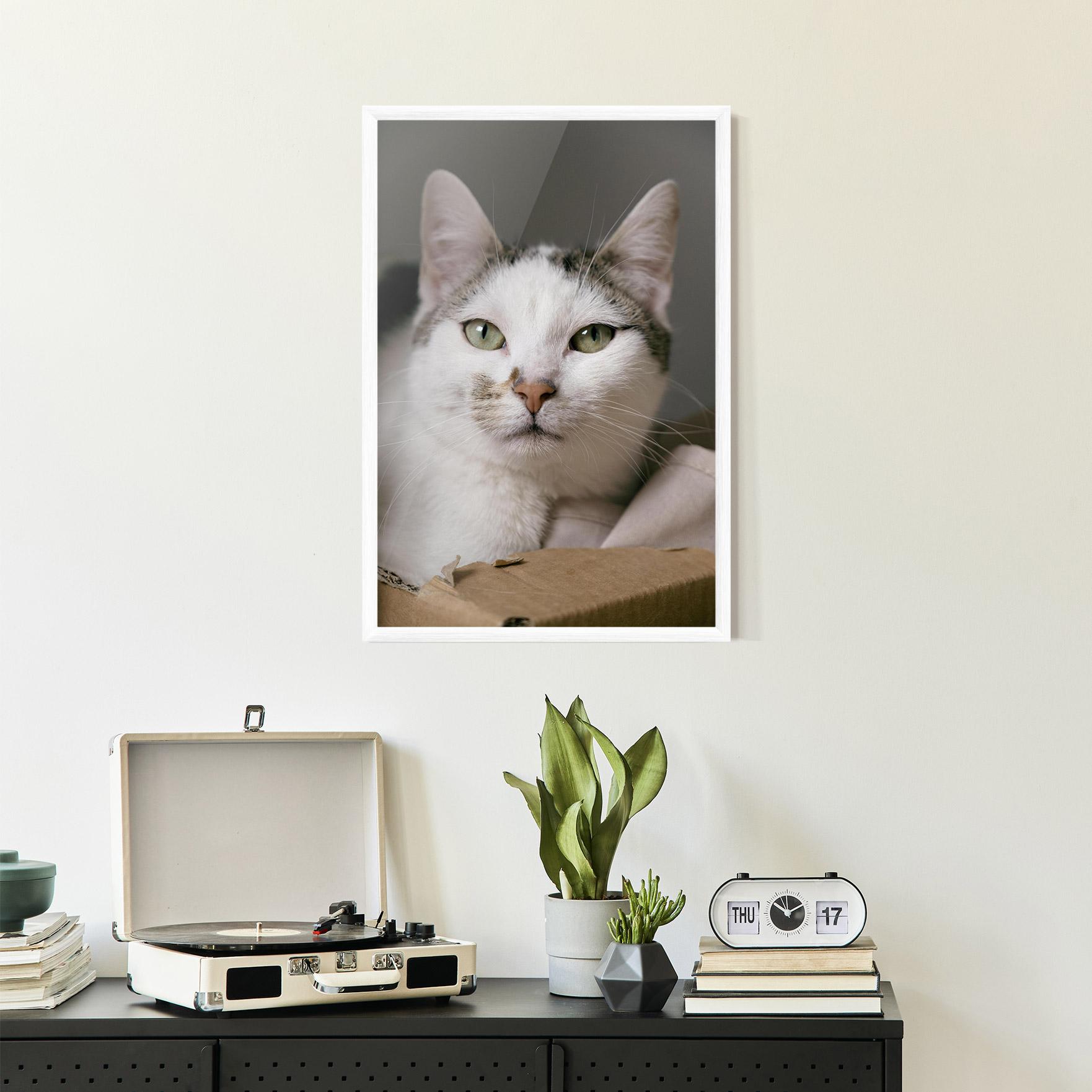 Plakat w Ramie Big Sleepy Cat mockup 2