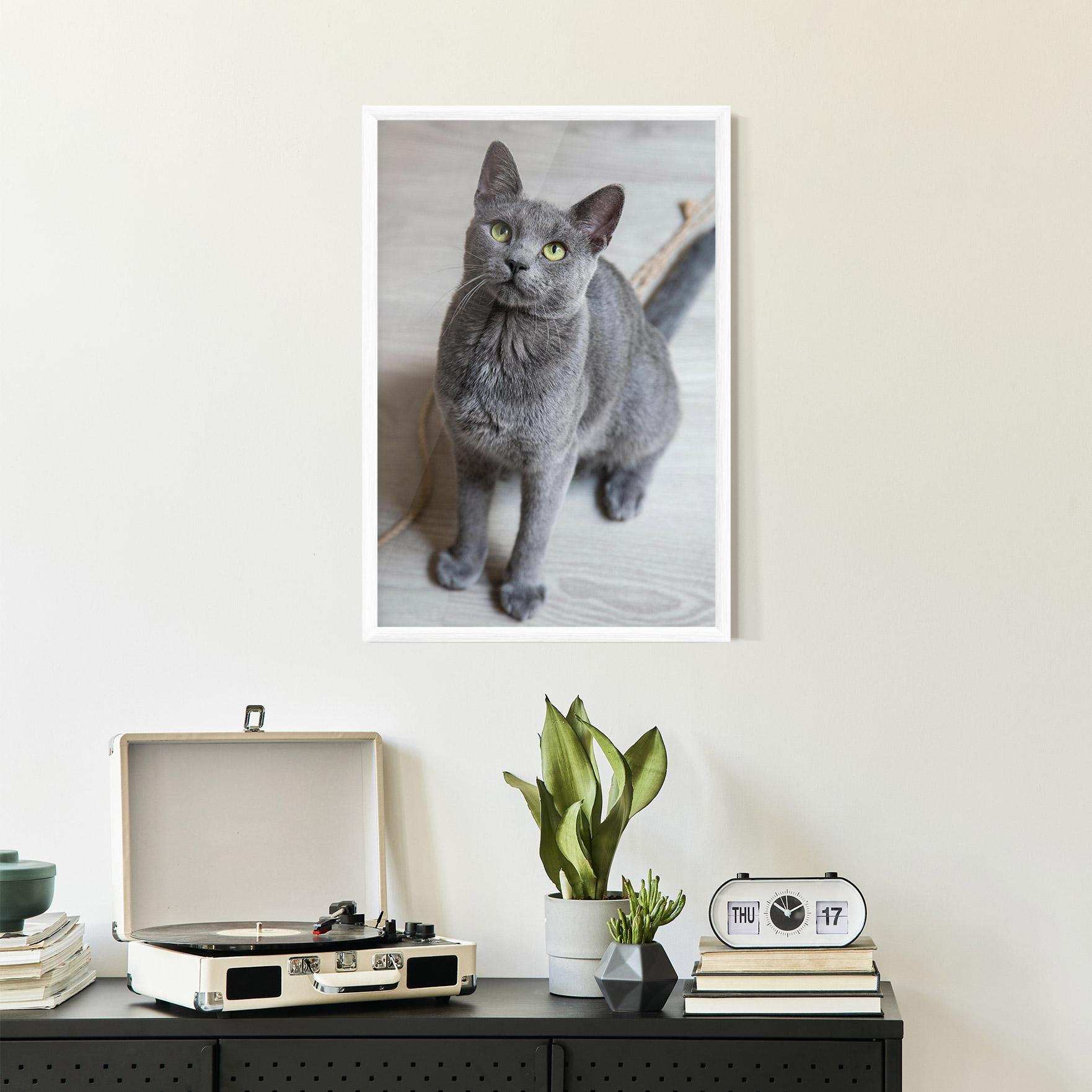 Plakat w Ramie Grey Green Cat Eyes mockup 2