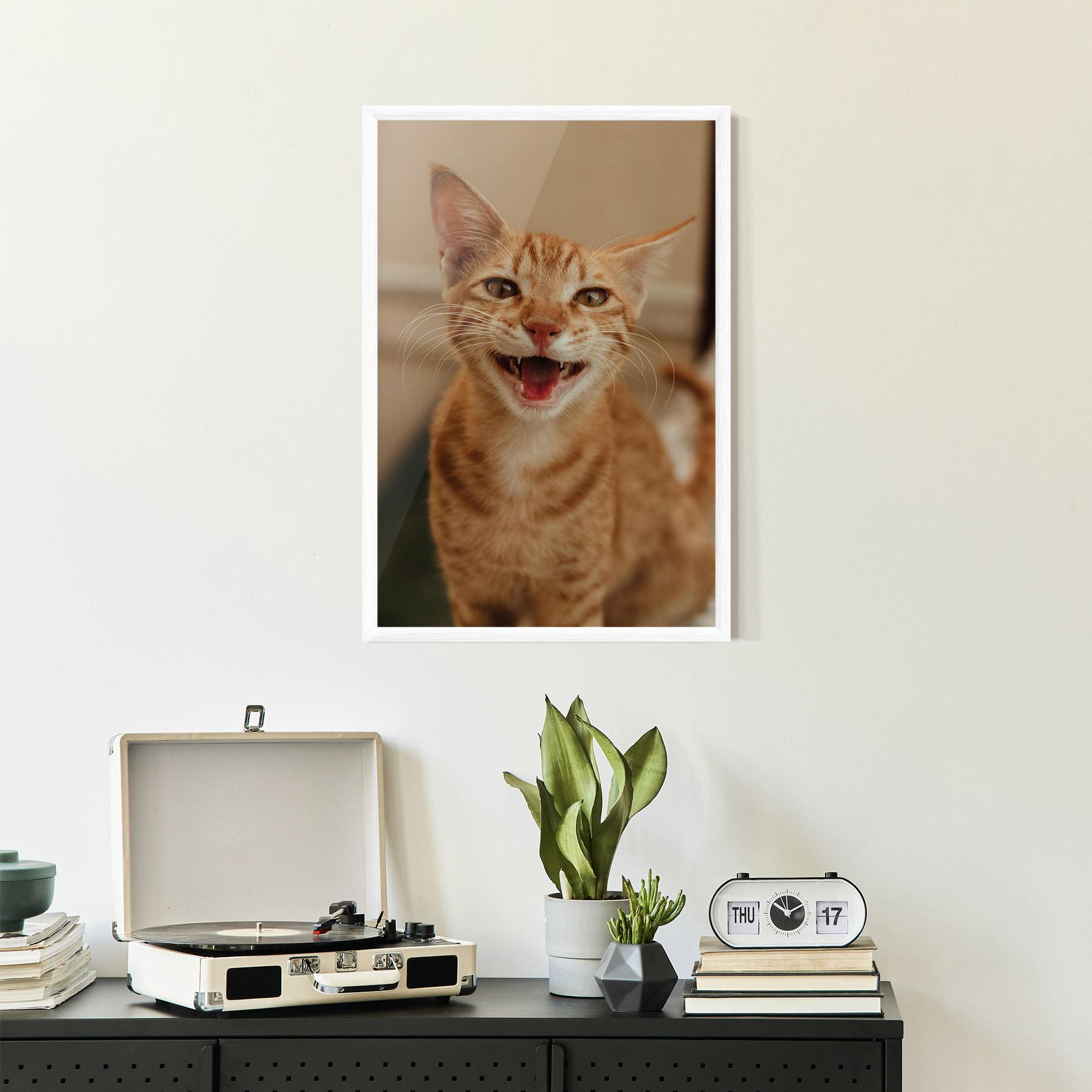 Plakat w Ramie Orange Cat Smiling mockup 2