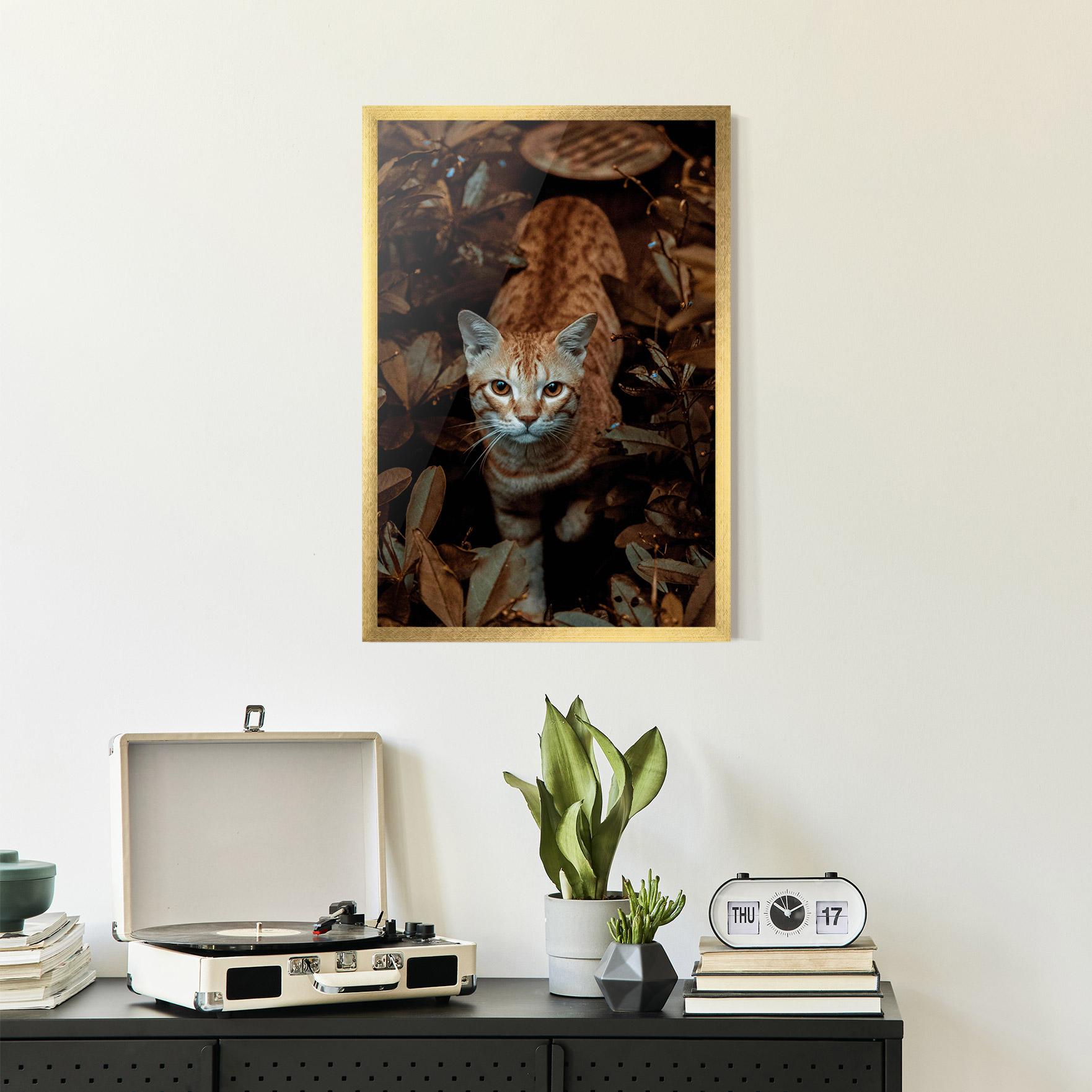 Plakat w Ramie Autumn Orange Cat mockup 2