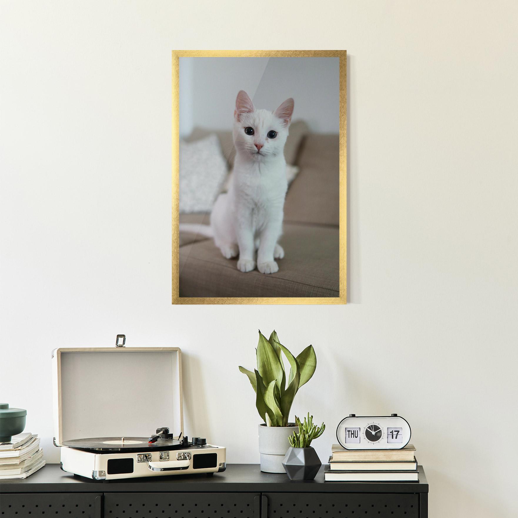 Plakat w Ramie Beautiful White Cat mockup 2