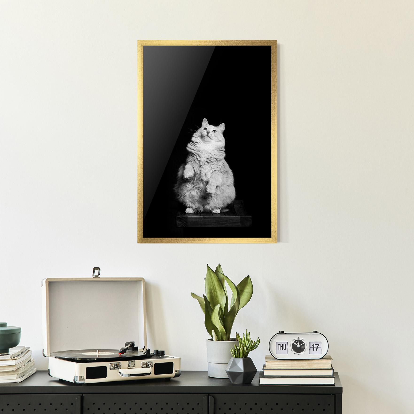 Plakat w Ramie Big Fluffy Cat mockup 2