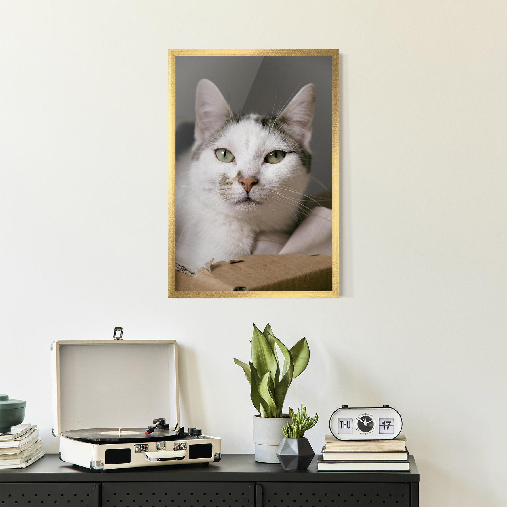 Plakat w Ramie Big Sleepy Cat mockup 2