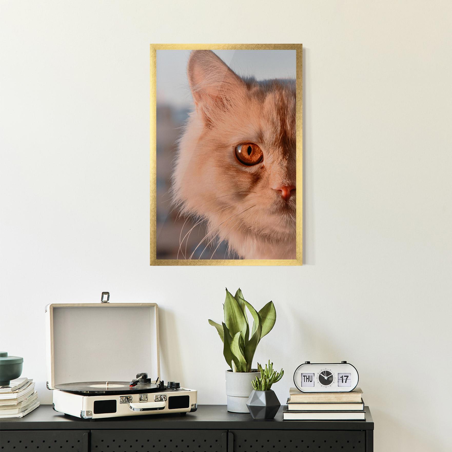 Plakat w Ramie Cat Eye In Sun mockup 2