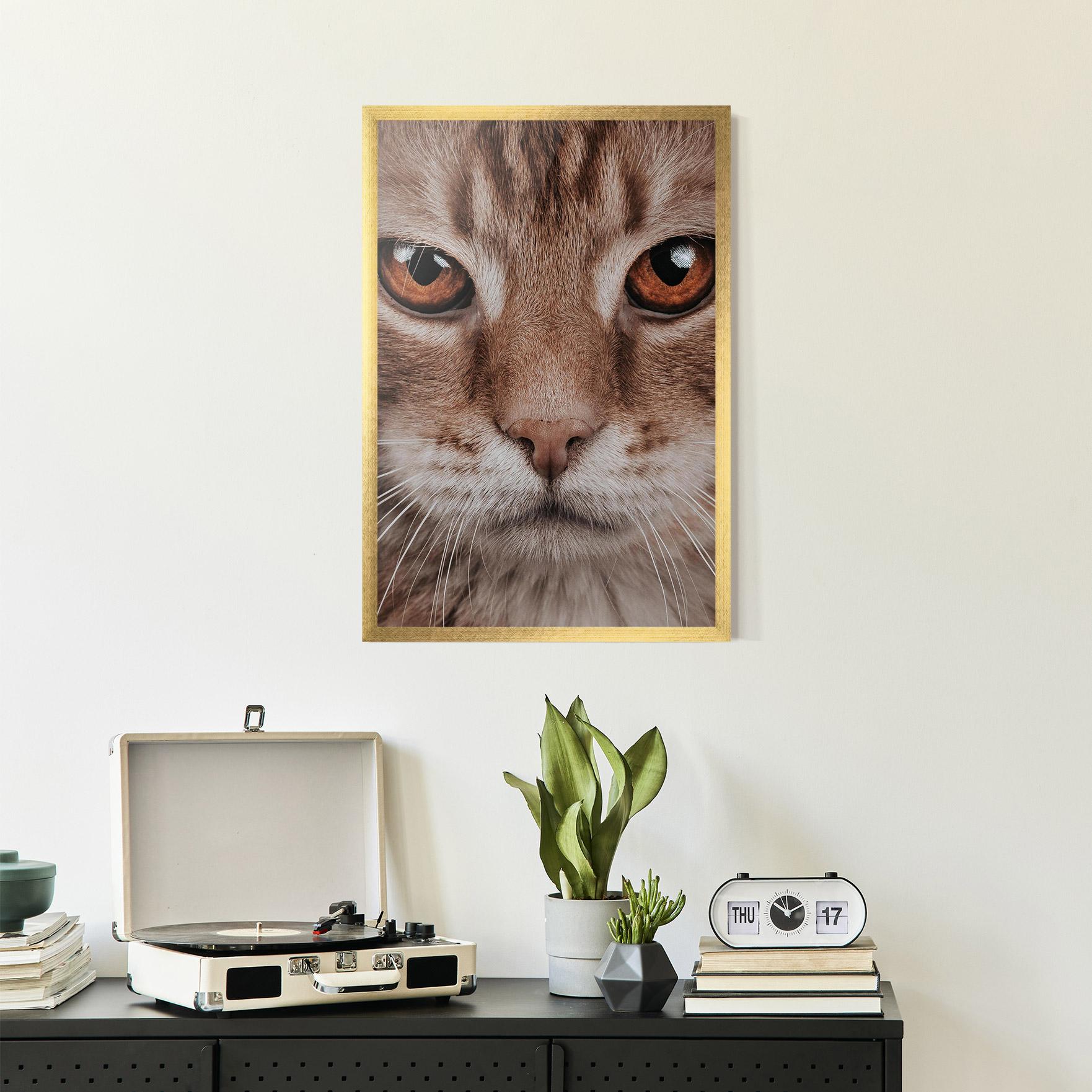 Plakat w Ramie Fire Eyes Cat mockup 2