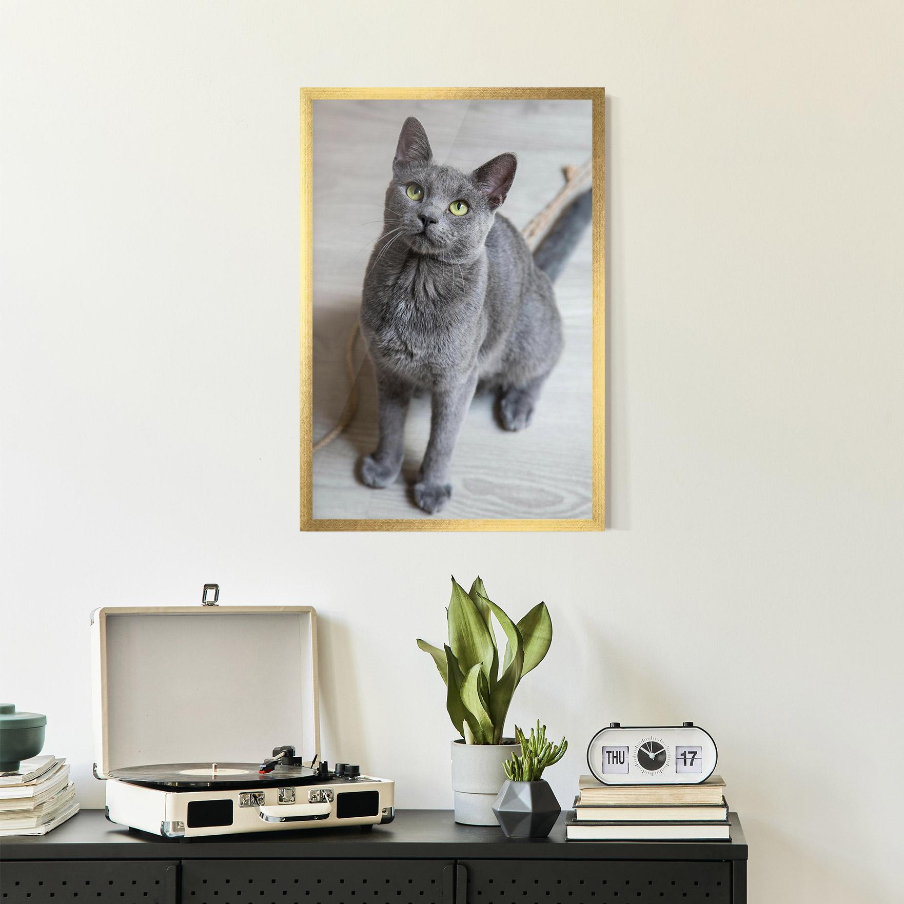 Plakat w Ramie Grey Green Cat Eyes mockup 2